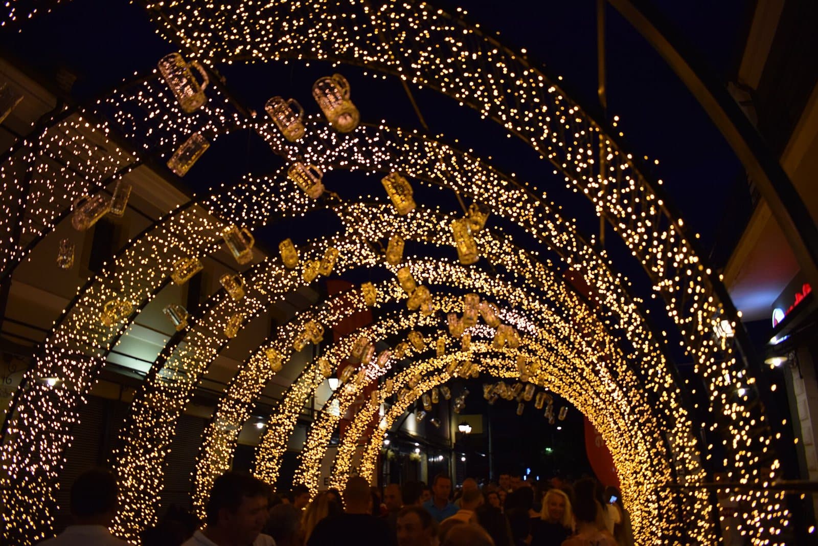 Crowds at the beer festival, 2018
