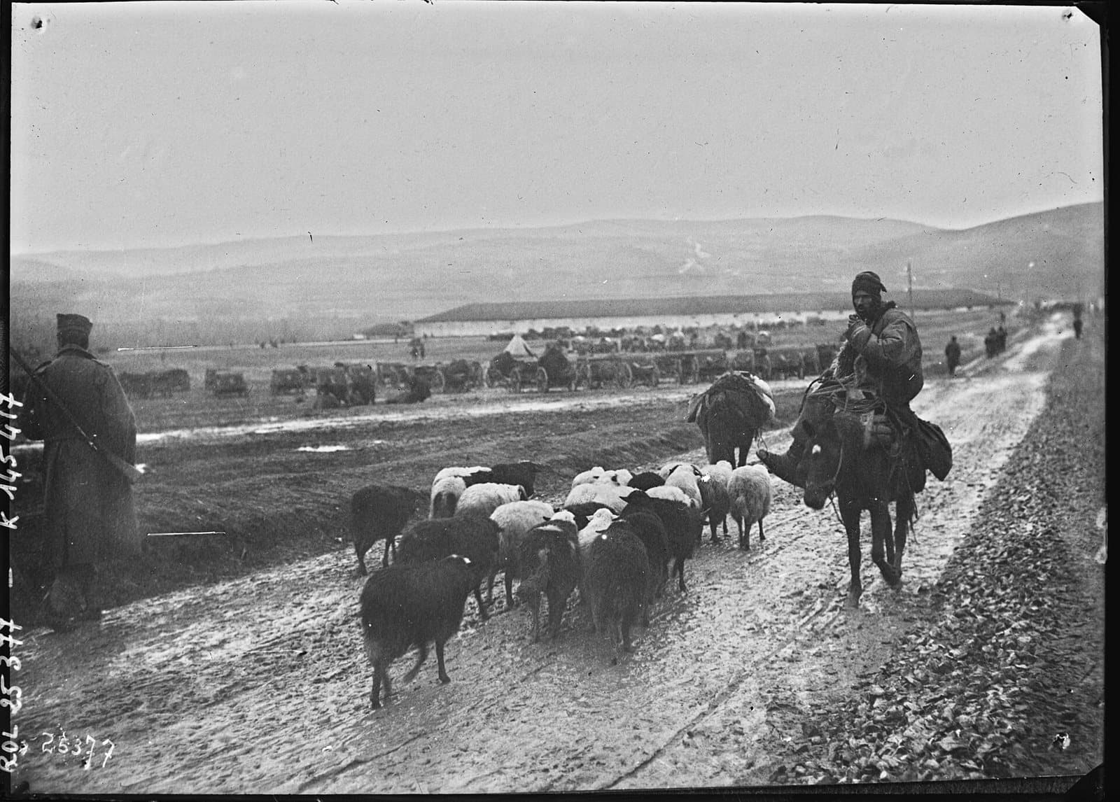 On the road to Durrës, November 1912
