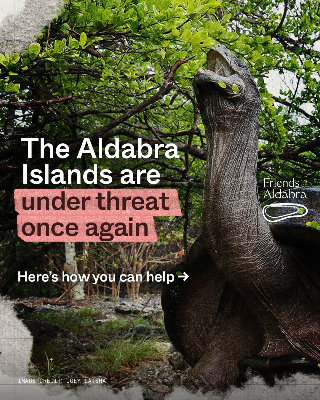 Help us stop the construction and protect the Aldabra Islands once and for all! (1/9)