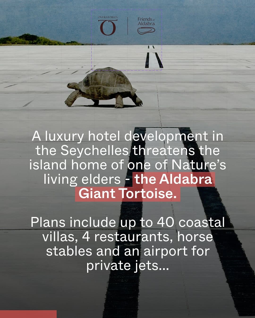 Help us stop the construction and protect the Aldabra Islands once and for all! (2/9)