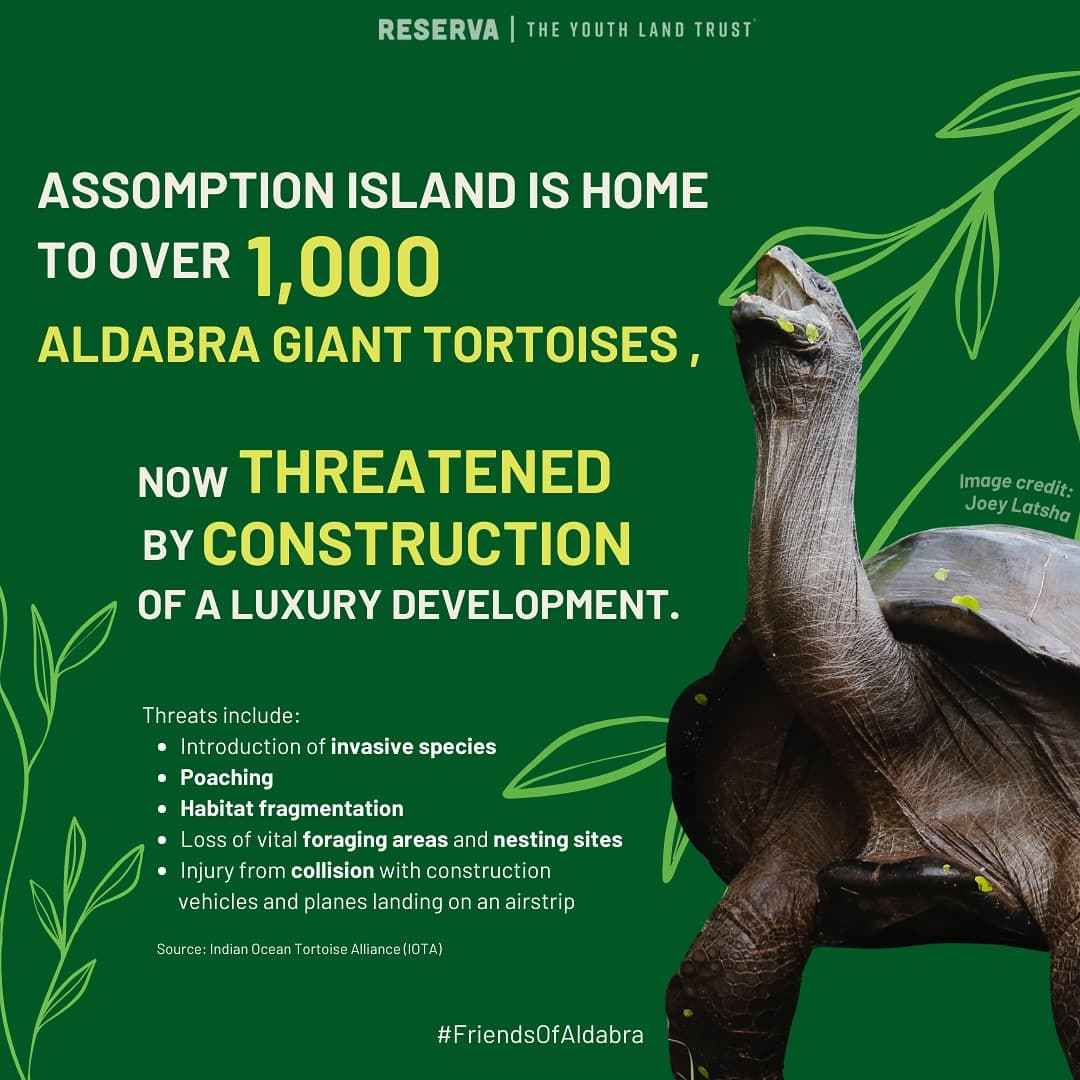 Protect the Aldabra Giant Tortoise! (1/3)
