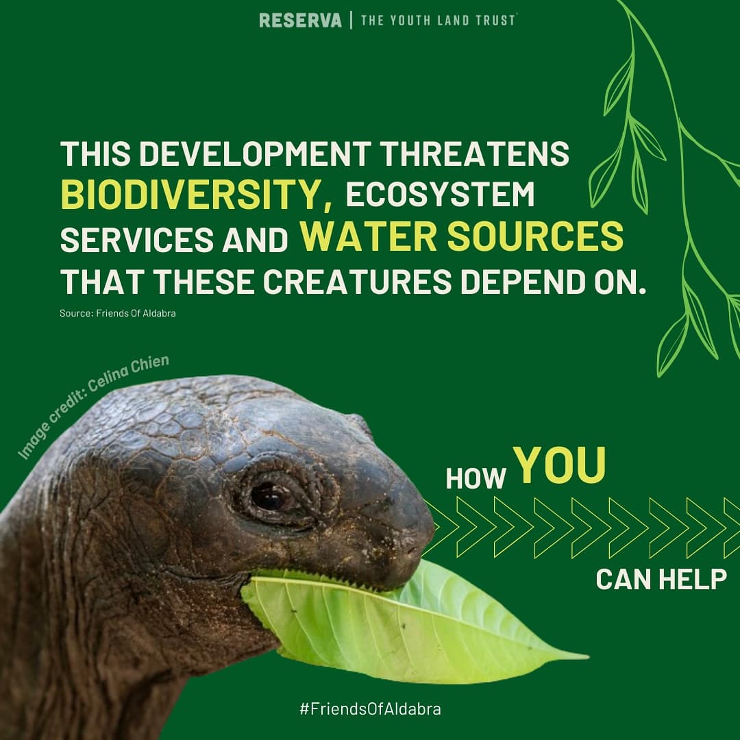 Protect the Aldabra Giant Tortoise! (2/3)
