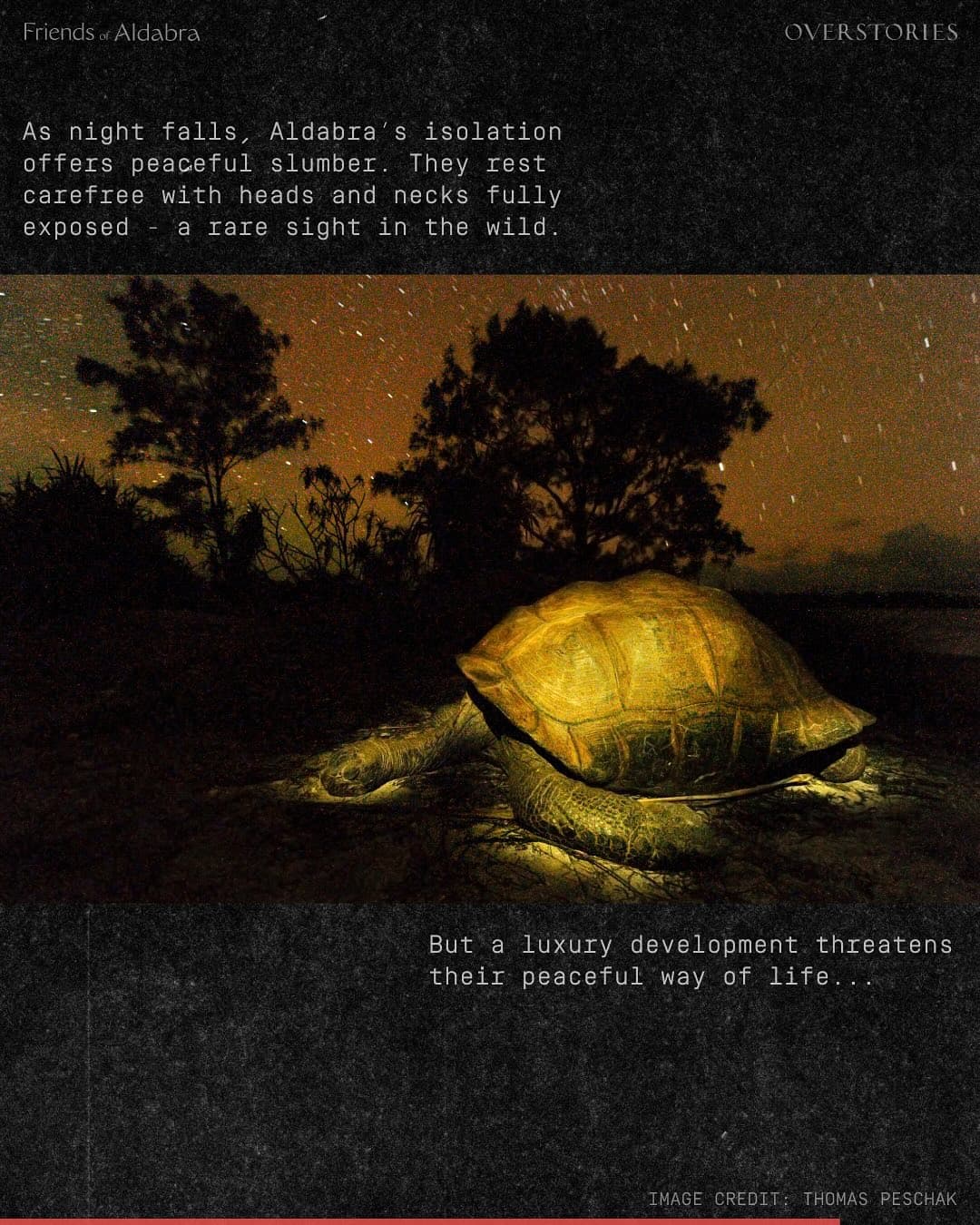 We need your help to stop construction on the Aldabra Islands. (6/7)
