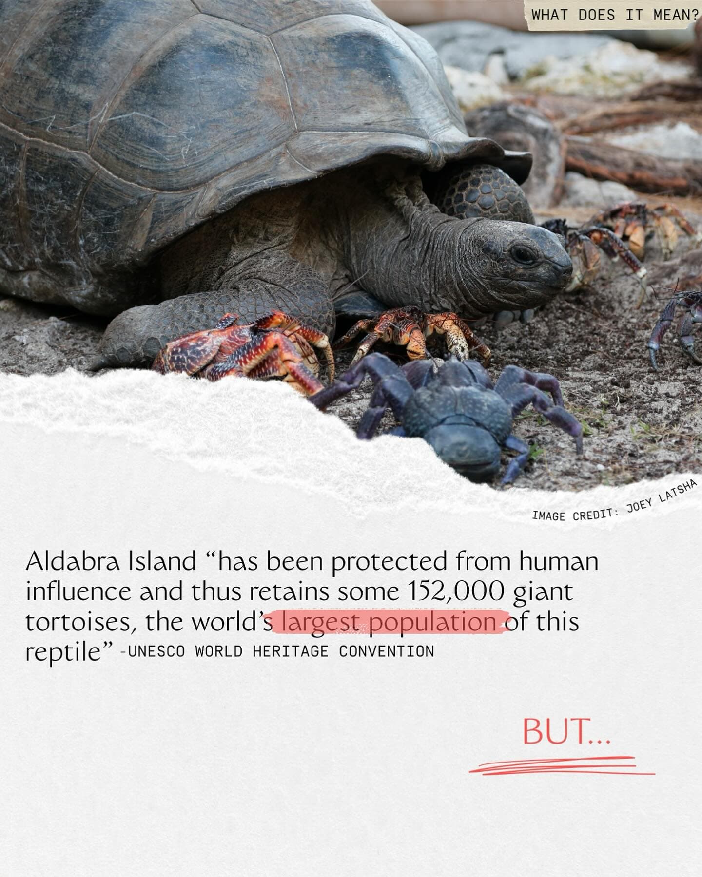 Calling UNESCO! (3/10)