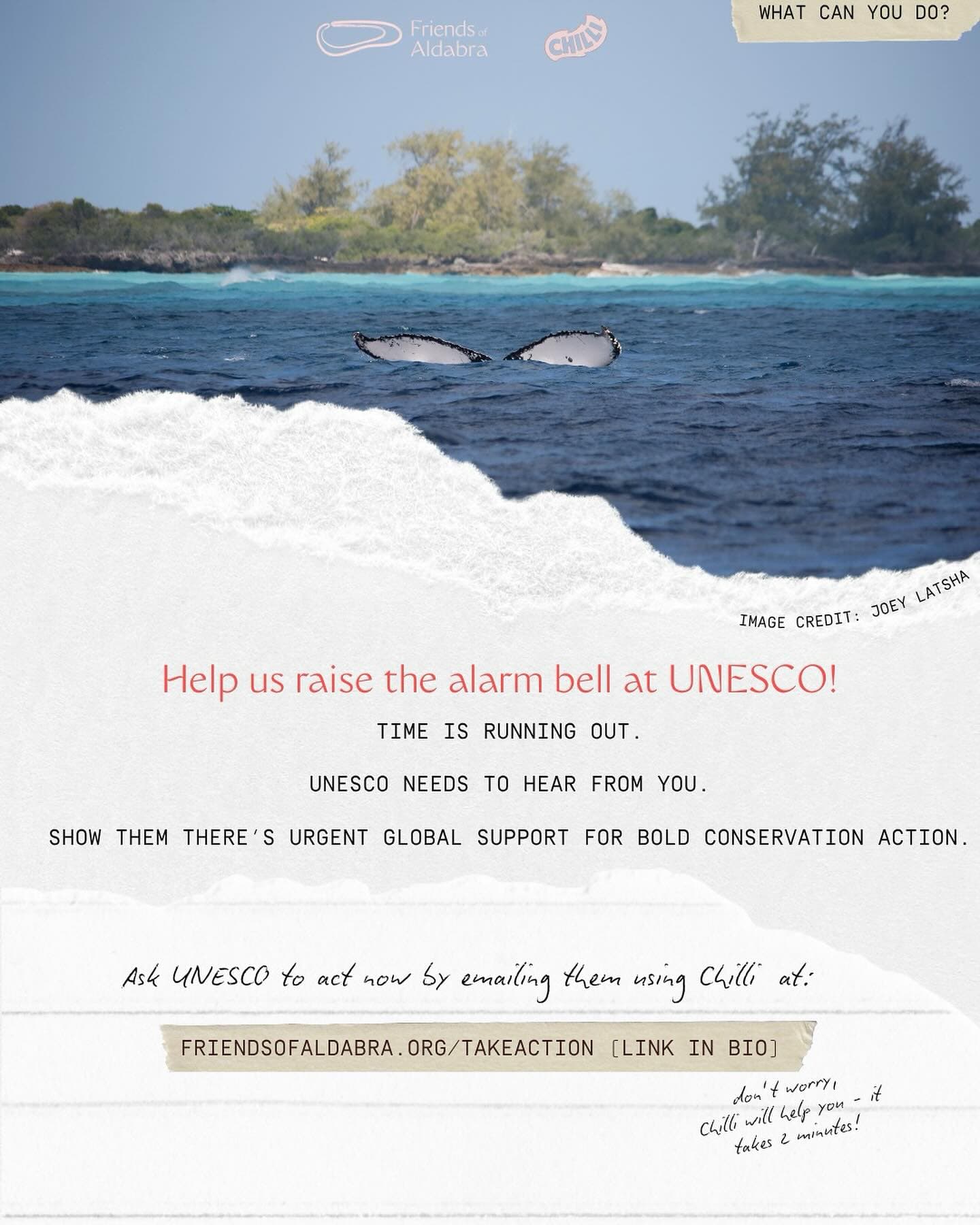 Calling UNESCO! (9/10)