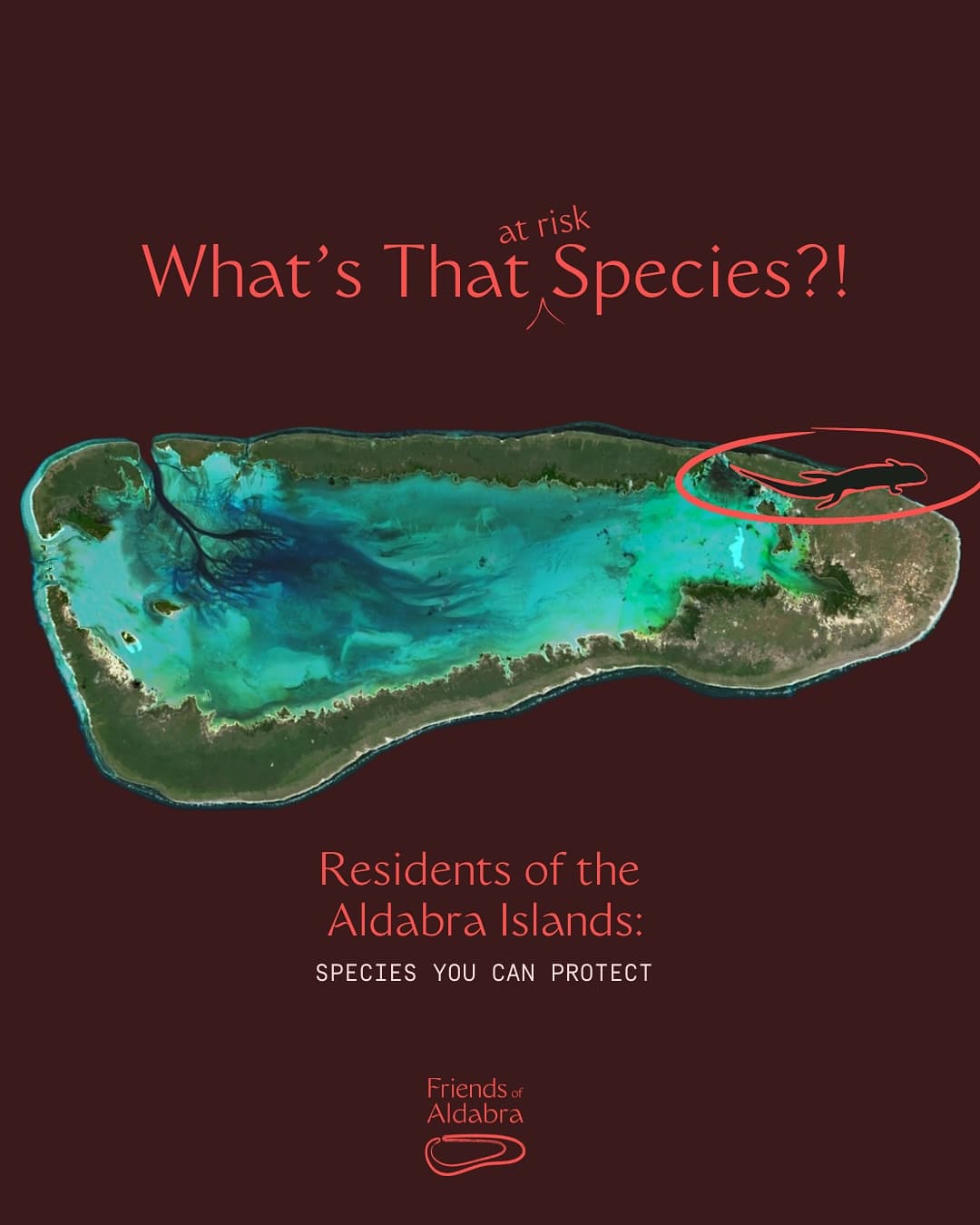 New series: Species YOU can help Will you catch them all? (1/3)