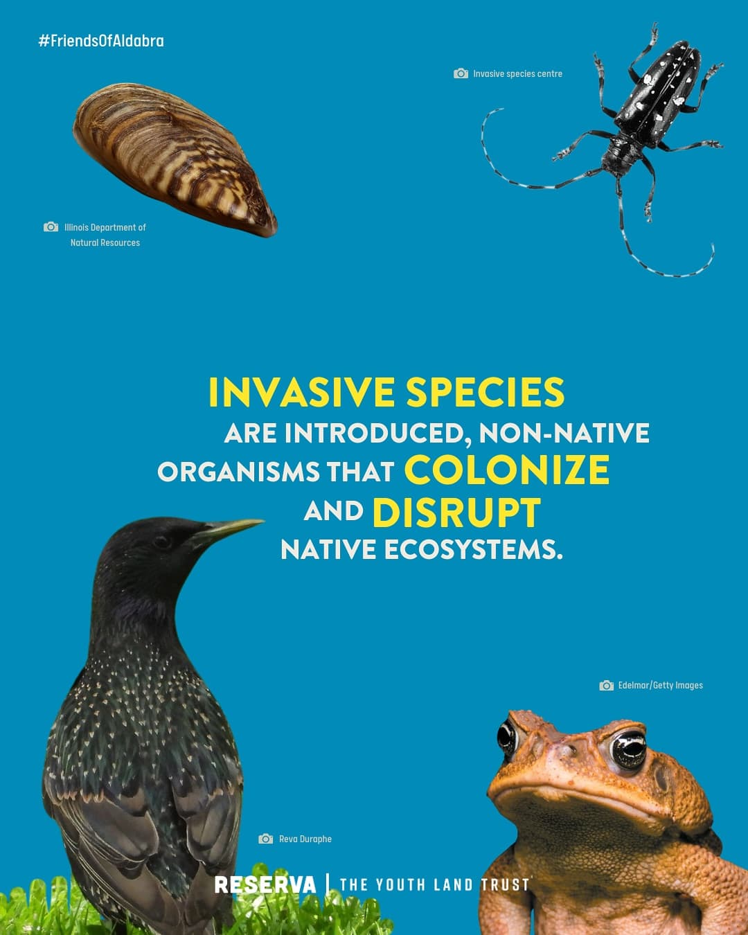Aldabra atoll is under threat, and urgently needs YOUR help Aldabra, one of our last… (2/6)