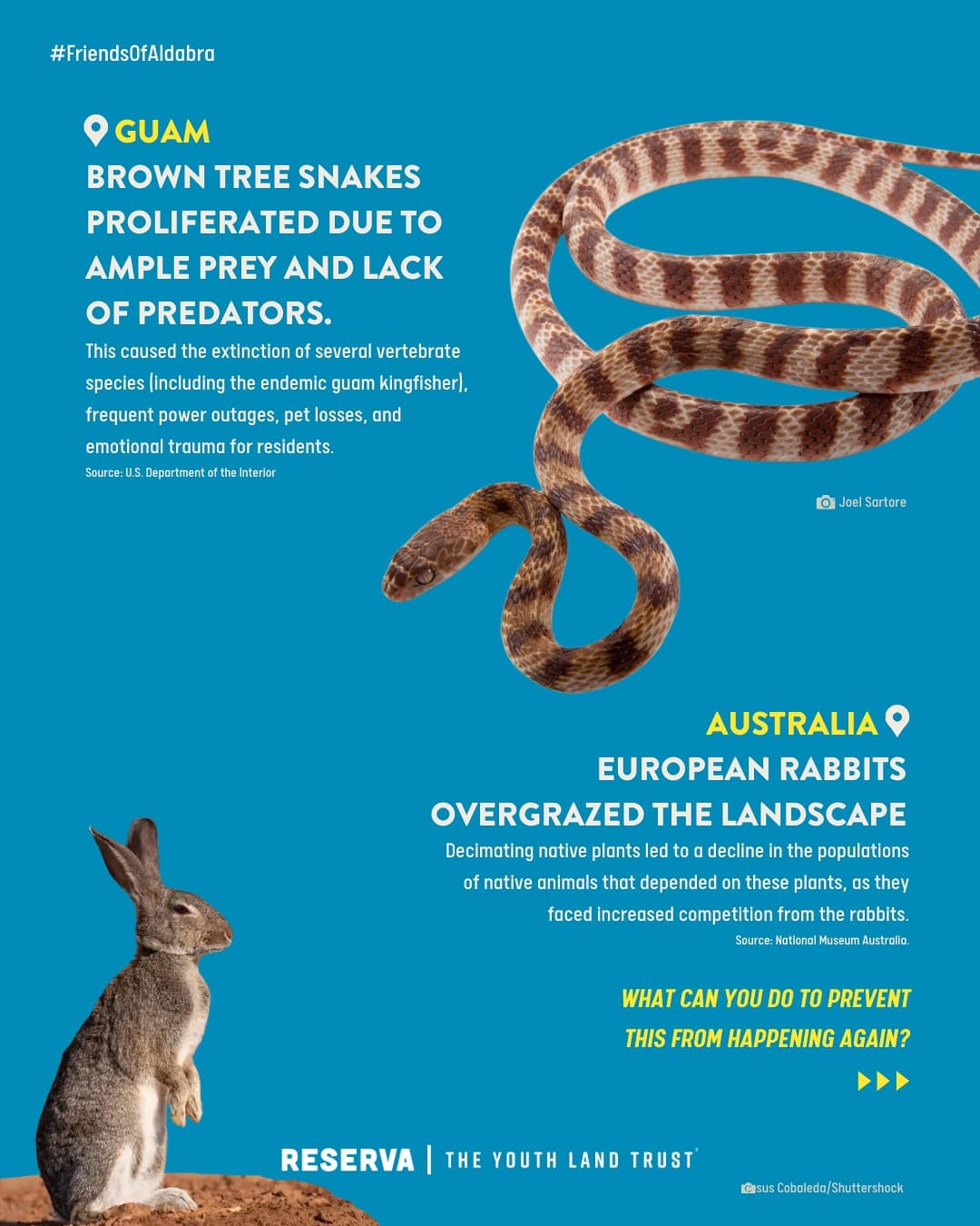Aldabra atoll is under threat, and urgently needs YOUR help Aldabra, one of our last… (5/6)