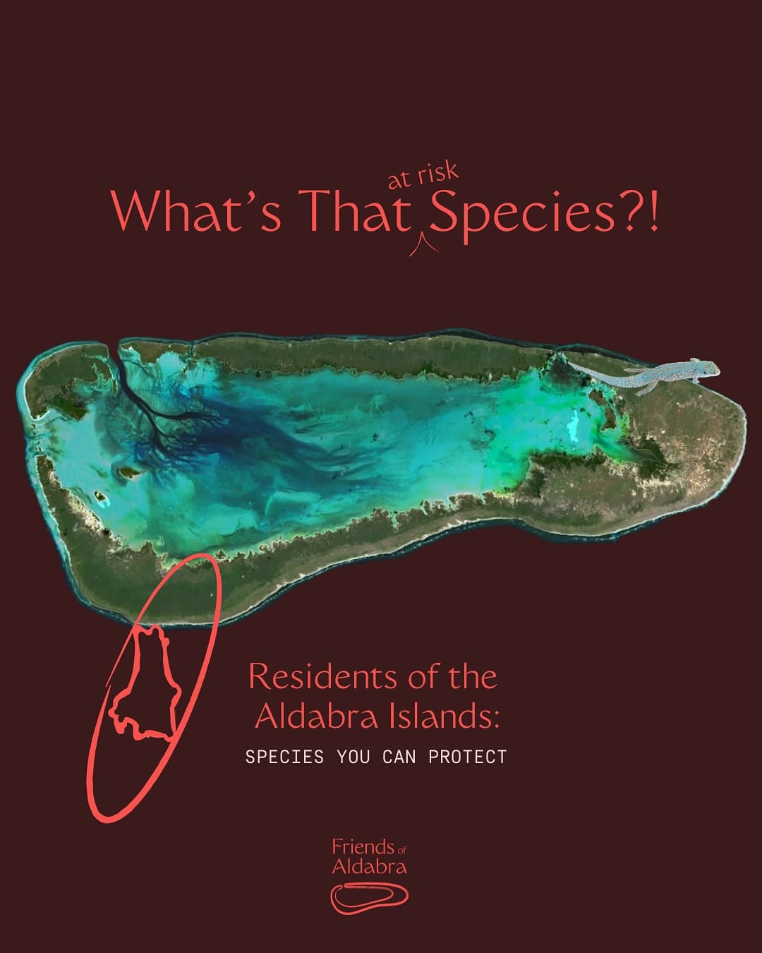 Species YOU can help …will you catch them all? (1/3) · Jun 2025