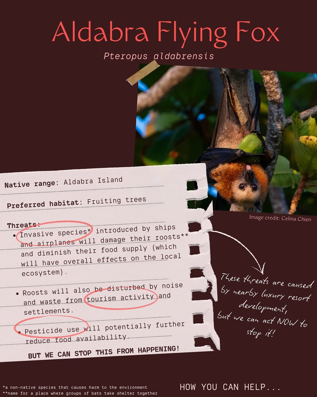 Species YOU can help …will you catch them all? (2/3) · Jun 2025