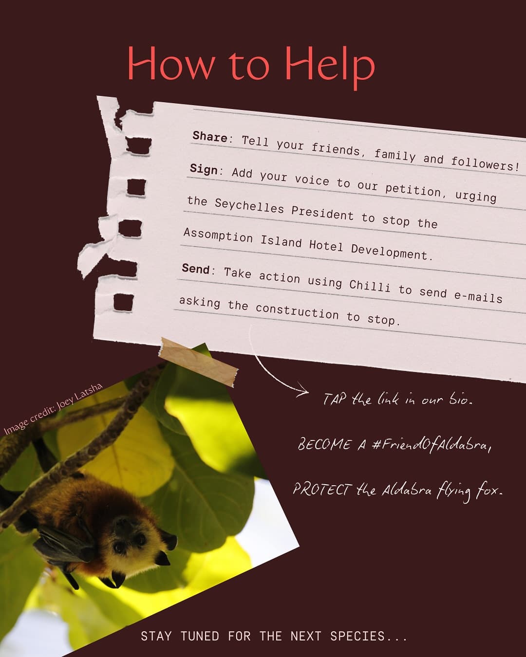 Species YOU can help …will you catch them all? (3/3) · Jun 2025