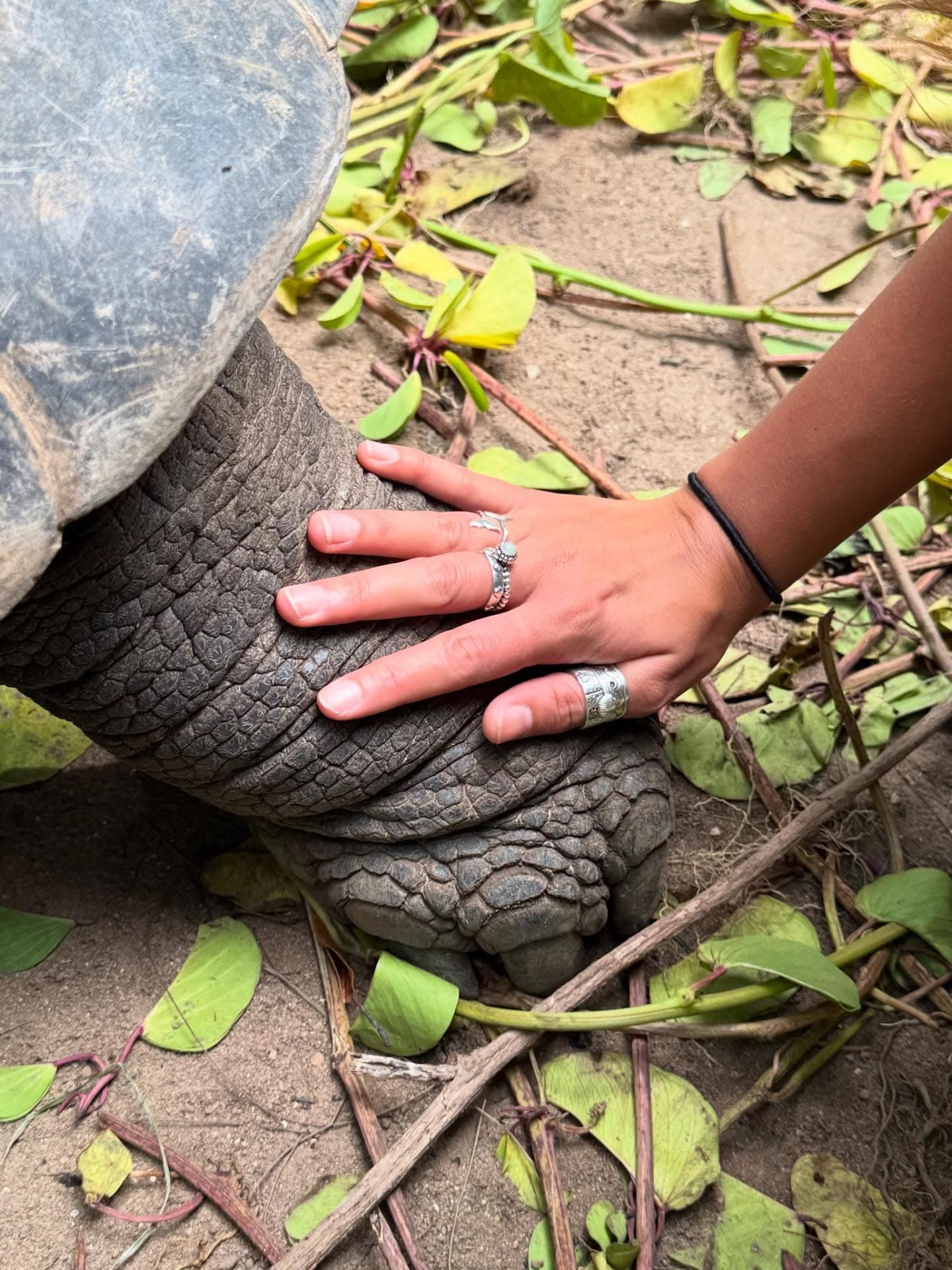 Following our time at UNOC in Nice in June, we headed to the Seychelles to get working… (10/13)