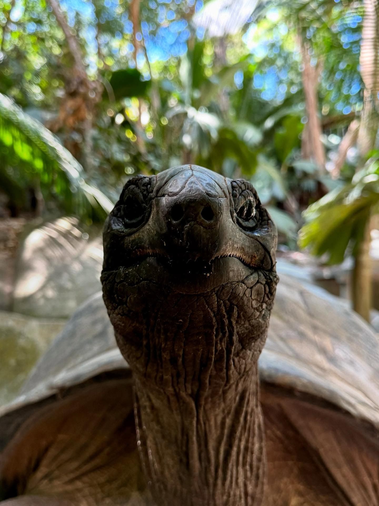 Following our time at UNOC in Nice in June, we headed to the Seychelles to get working… (13/13)