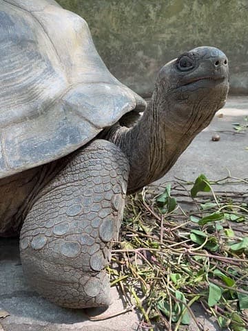 Following our time at UNOC in Nice in June, we headed to the Seychelles to get working… (9/13)