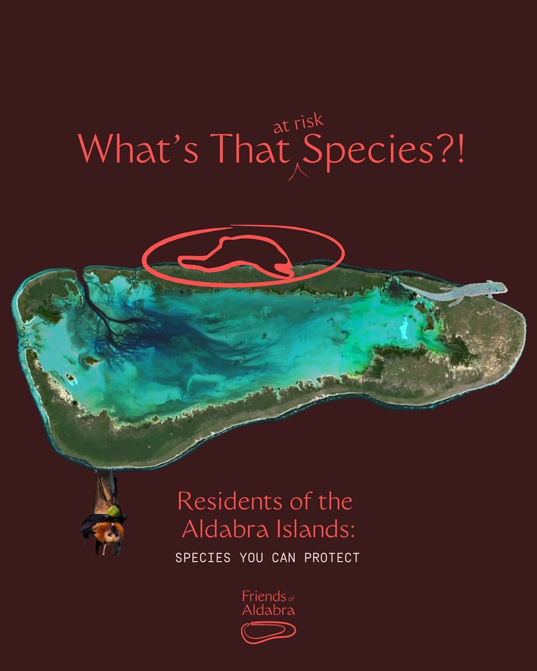Species YOU can help …will you catch them all? (1/3) · Jul 2025