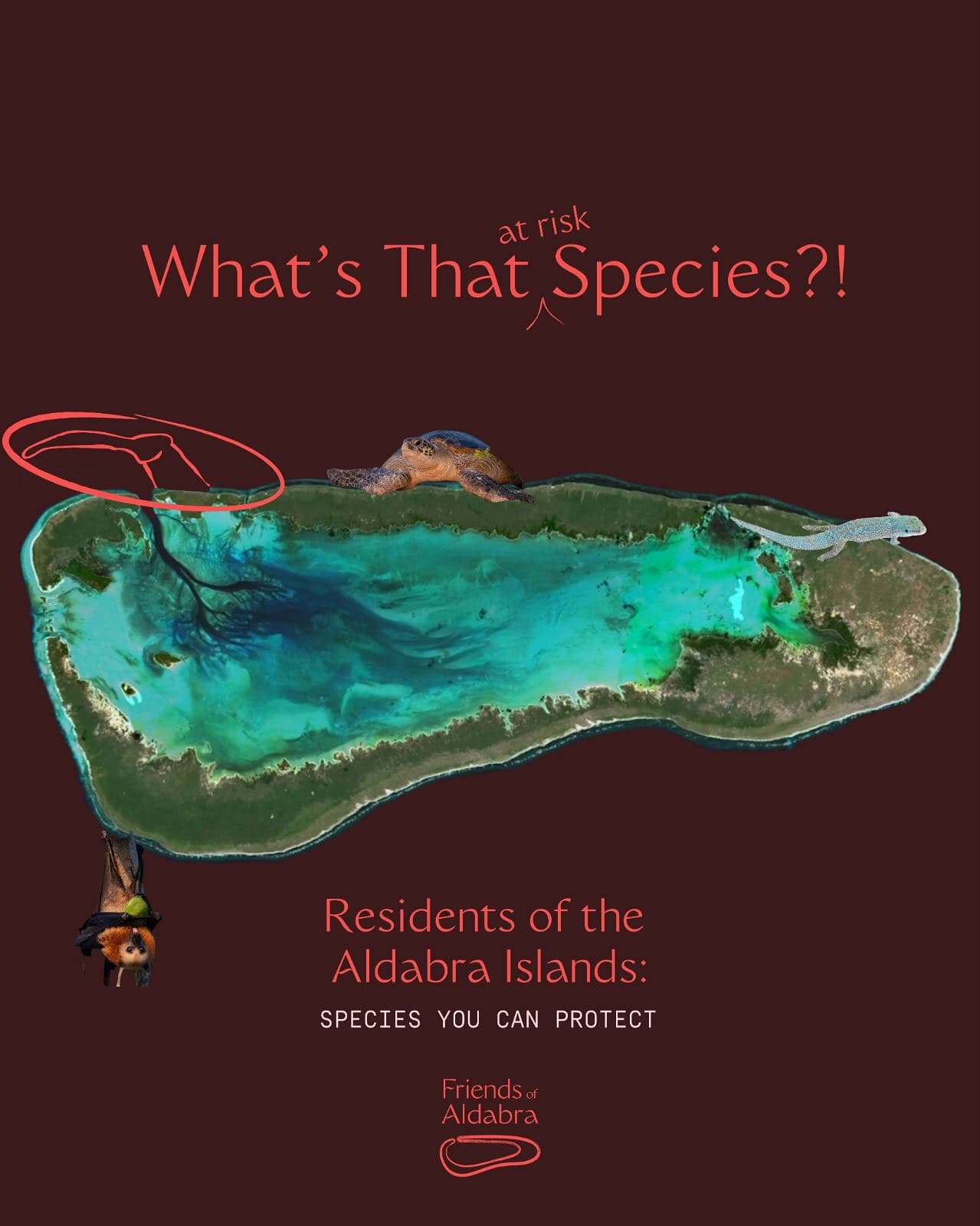 Species YOU can help …will you catch them all? (1/3) · Jul 2025