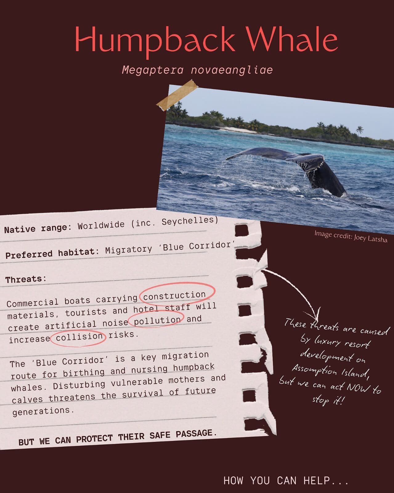 Species YOU can help …will you catch them all? (2/3) · Jul 2025