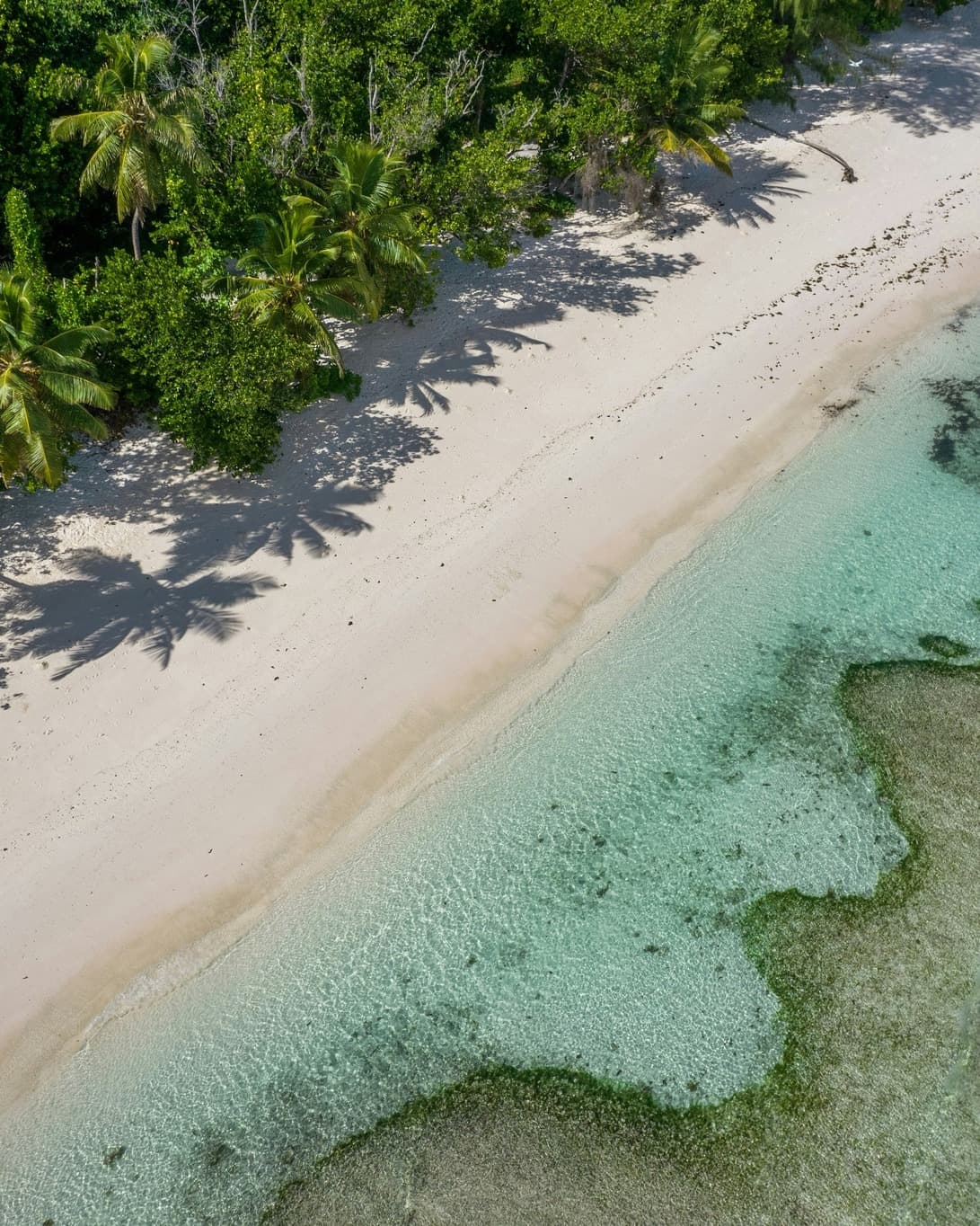 The Outer Islands of Seychelles Hope Spot needs your help! (1/2)