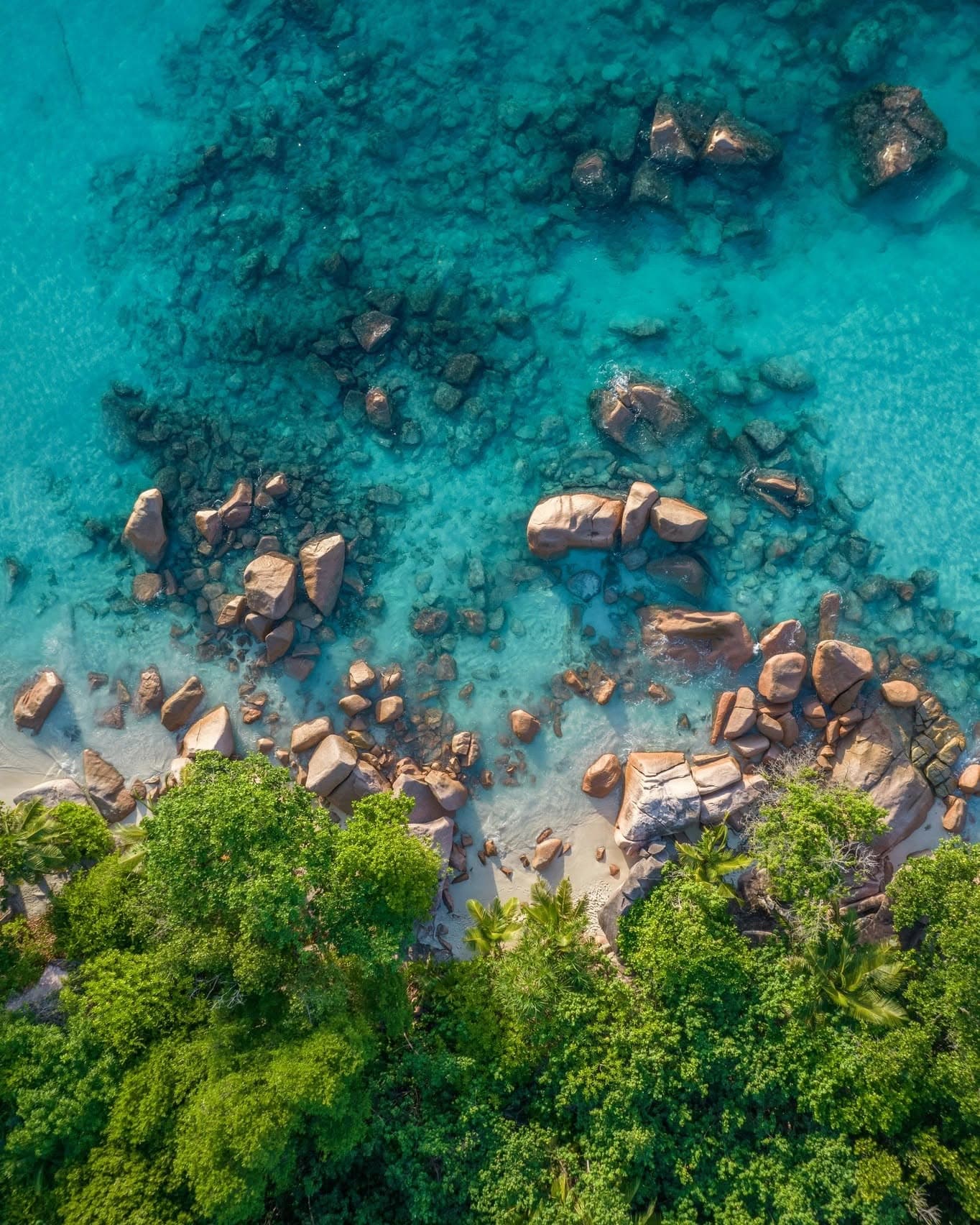 The Outer Islands of Seychelles Hope Spot needs your help! (2/2)