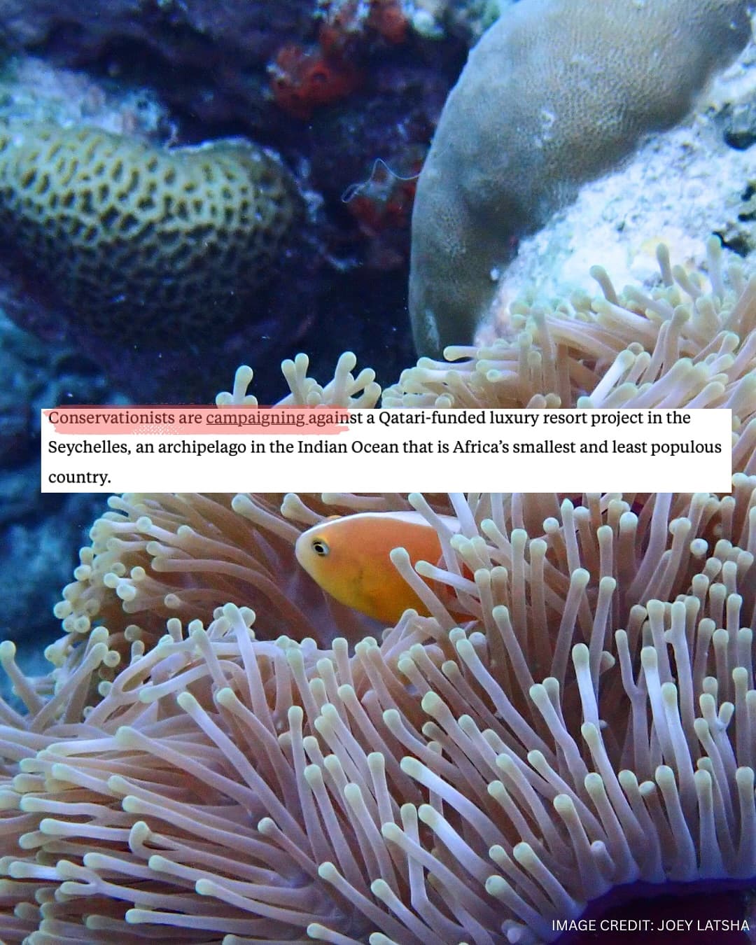 Thank you to and for this important coverage of our campaign to protect Aldabra! (2/7)