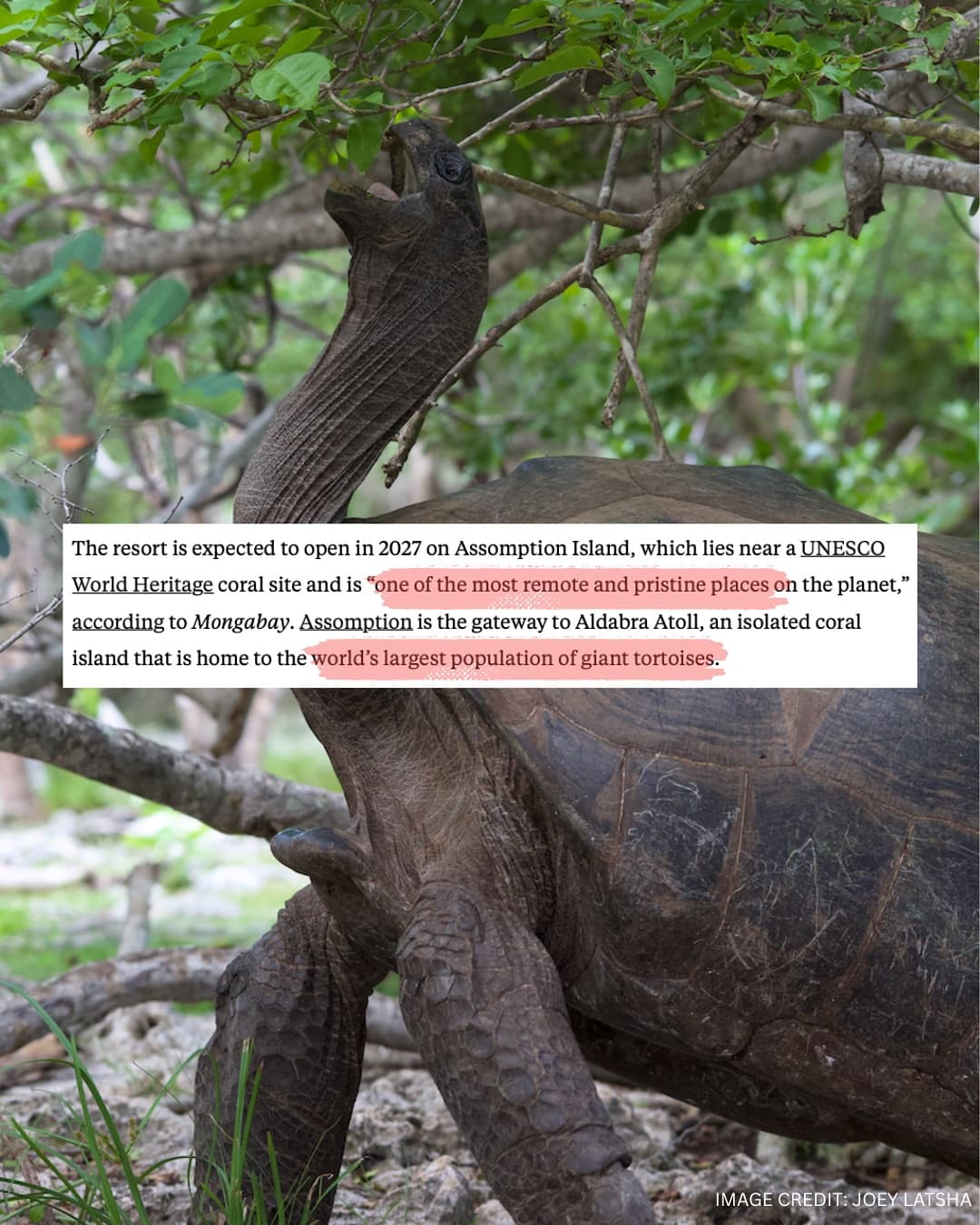 Thank you to and for this important coverage of our campaign to protect Aldabra! (3/7)