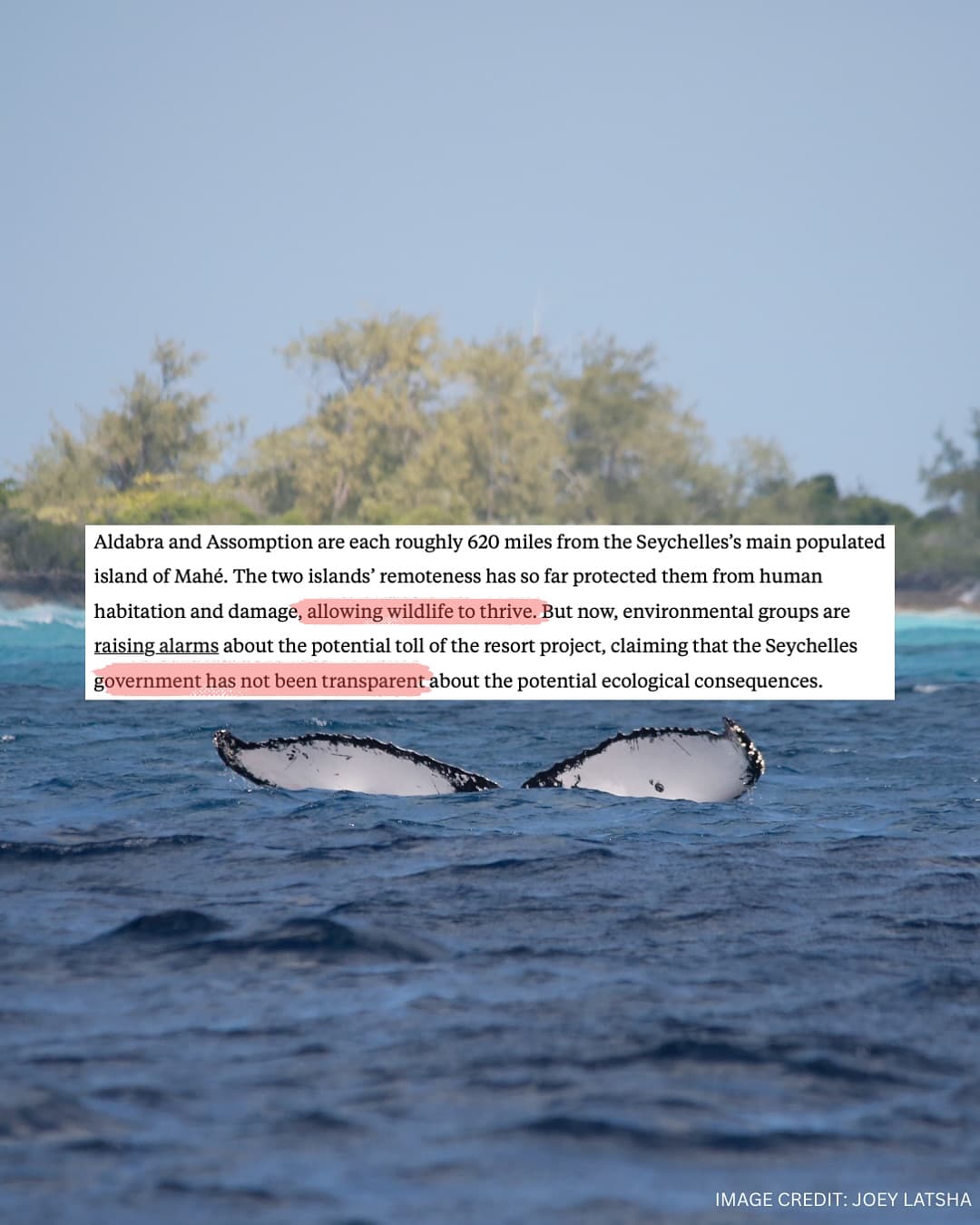 Thank you to and for this important coverage of our campaign to protect Aldabra! (4/7)