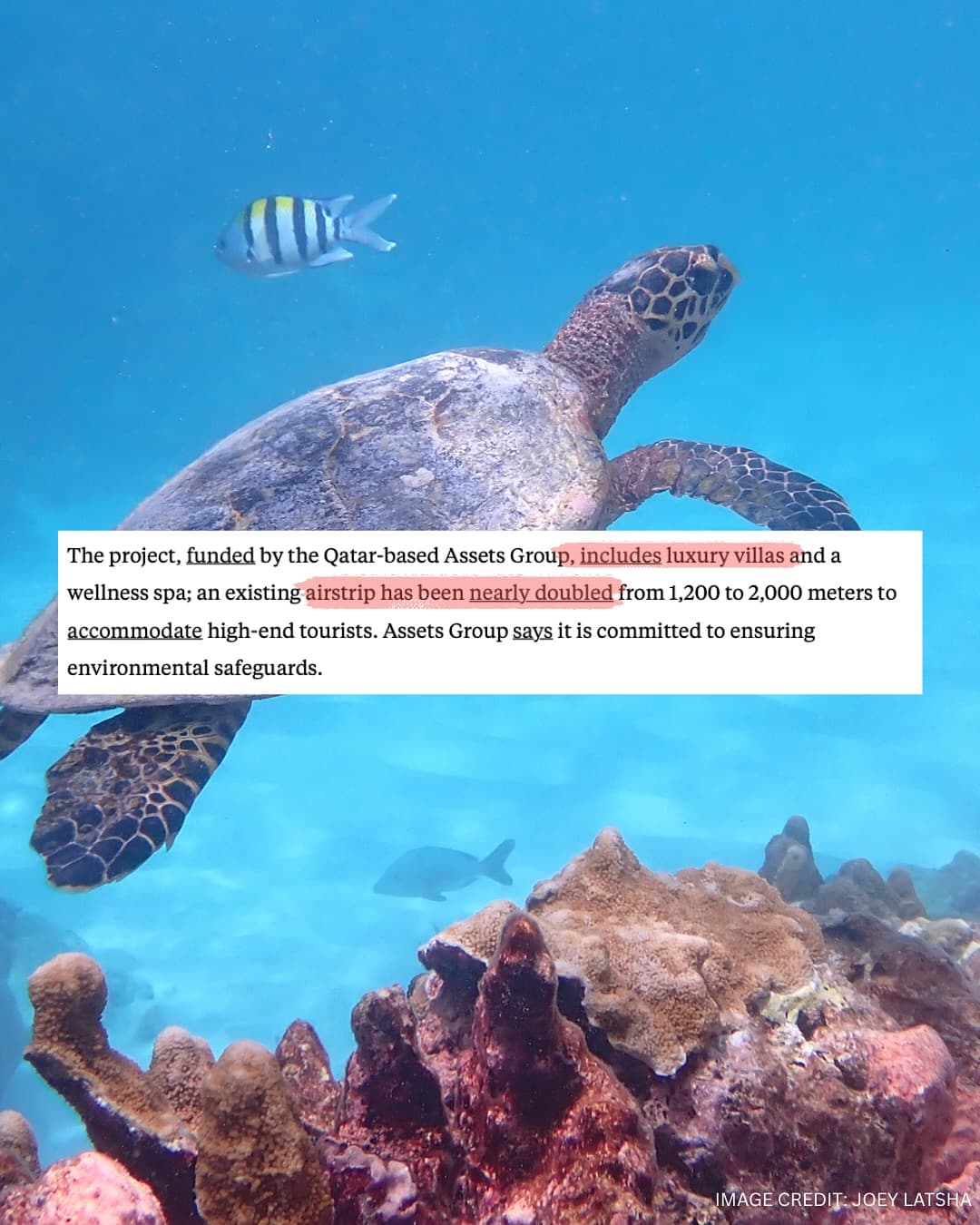 Thank you to and for this important coverage of our campaign to protect Aldabra! (6/7)