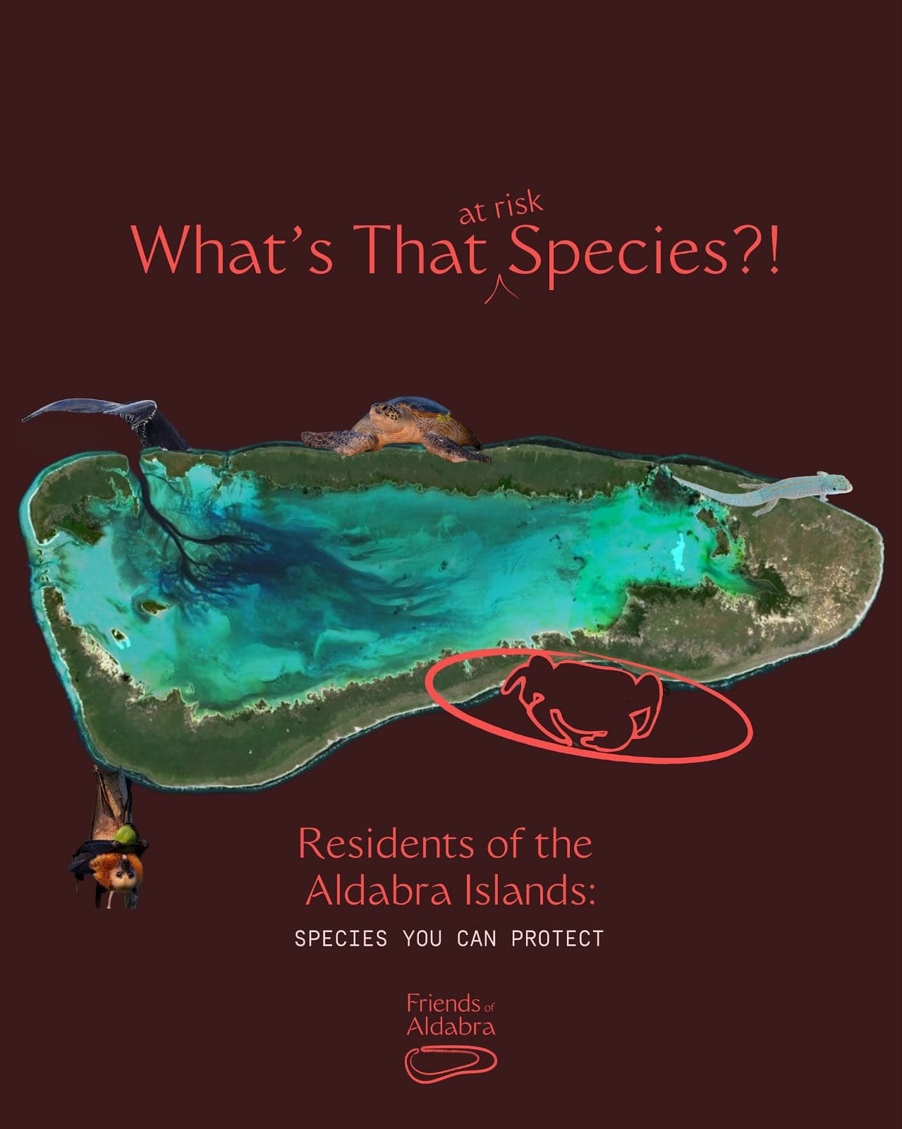 Species YOU can help …will you catch them all? (1/3) · Aug 2025