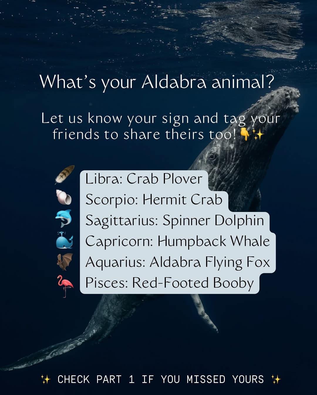 From the meticulous day gecko to the adventurous spinner dolphin, Aldabra is alive… (8/8)