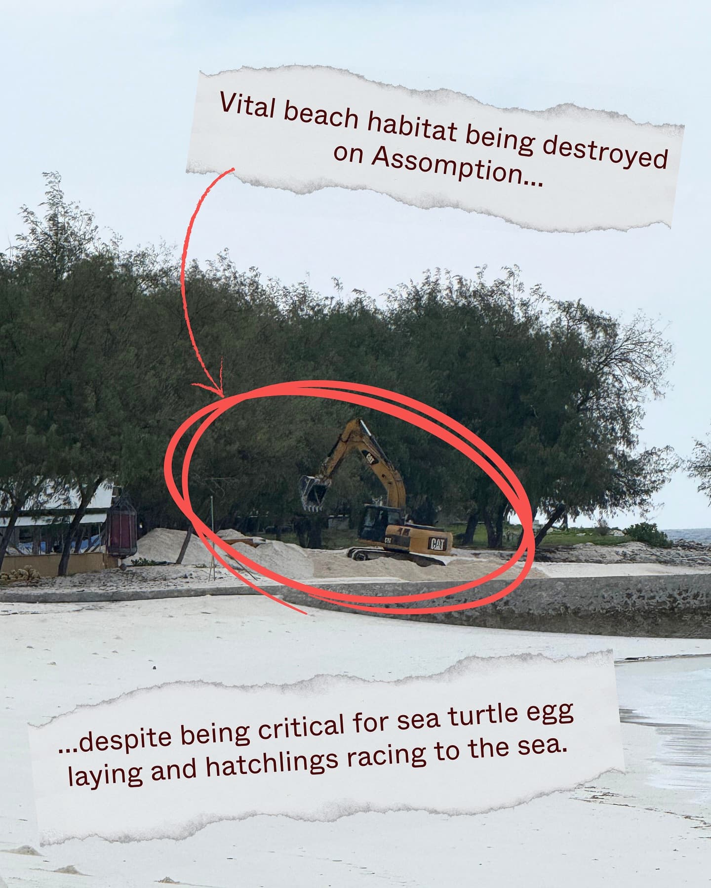 This is the FIRST time in 2025 that photo evidence has been LEAKED of Assomption Island. (5/8)