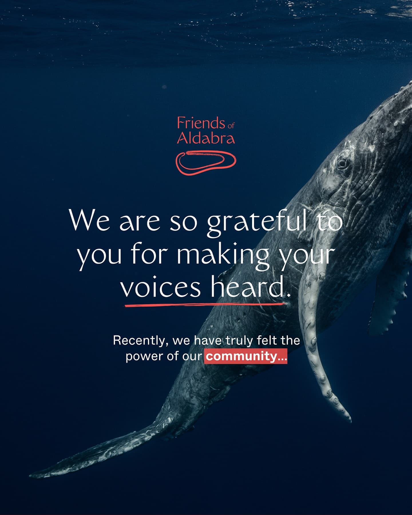 We just wanted to take a moment to say a huge thank you. (1/4)