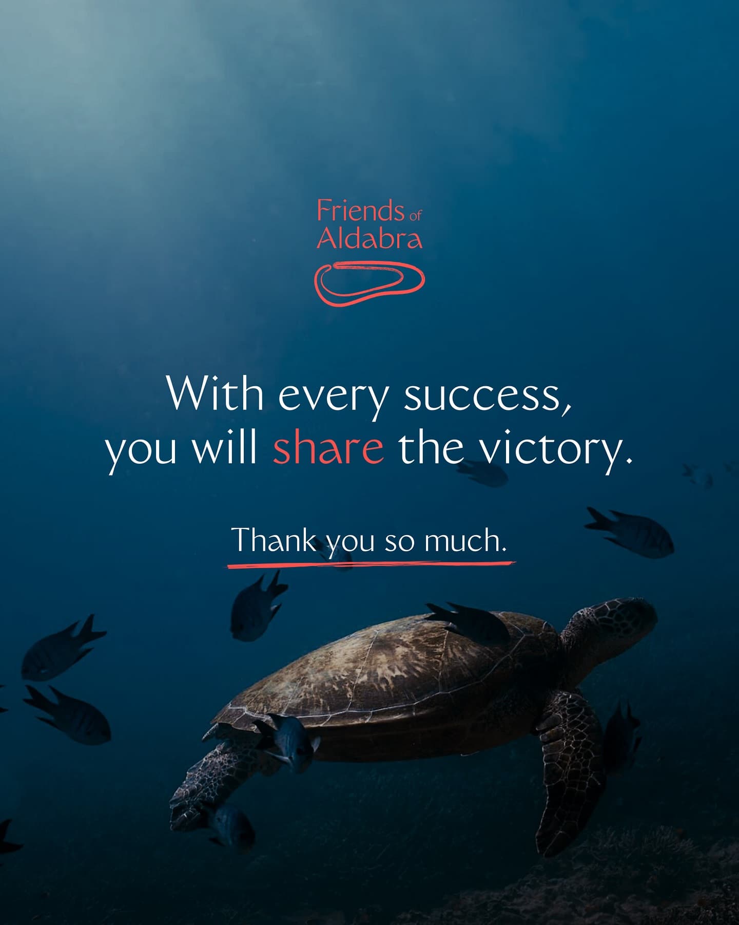 We just wanted to take a moment to say a huge thank you. (4/4)