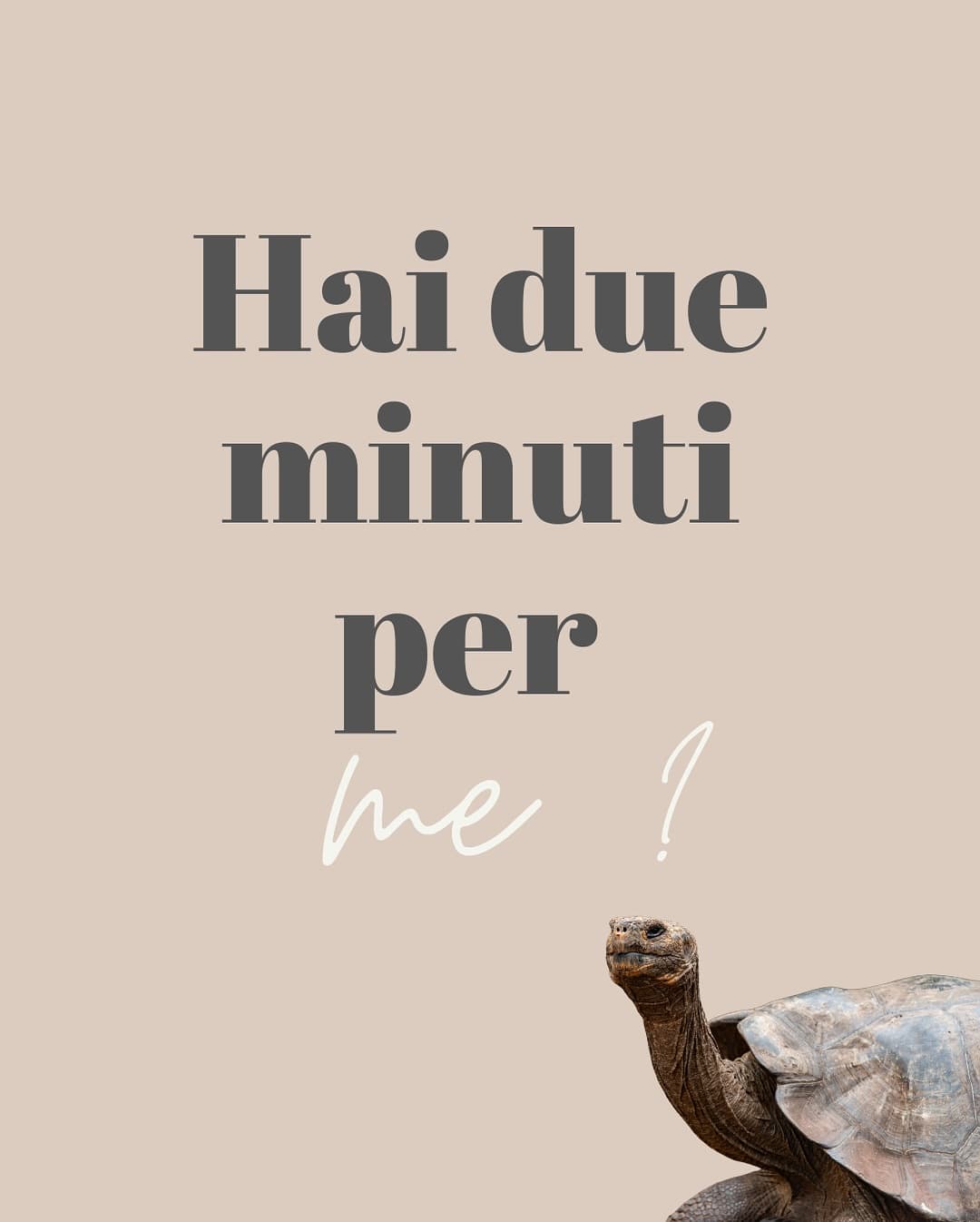 Oggi è stata presentata una petizione costituzionale contro il progetto di hotel ad… (1/11)