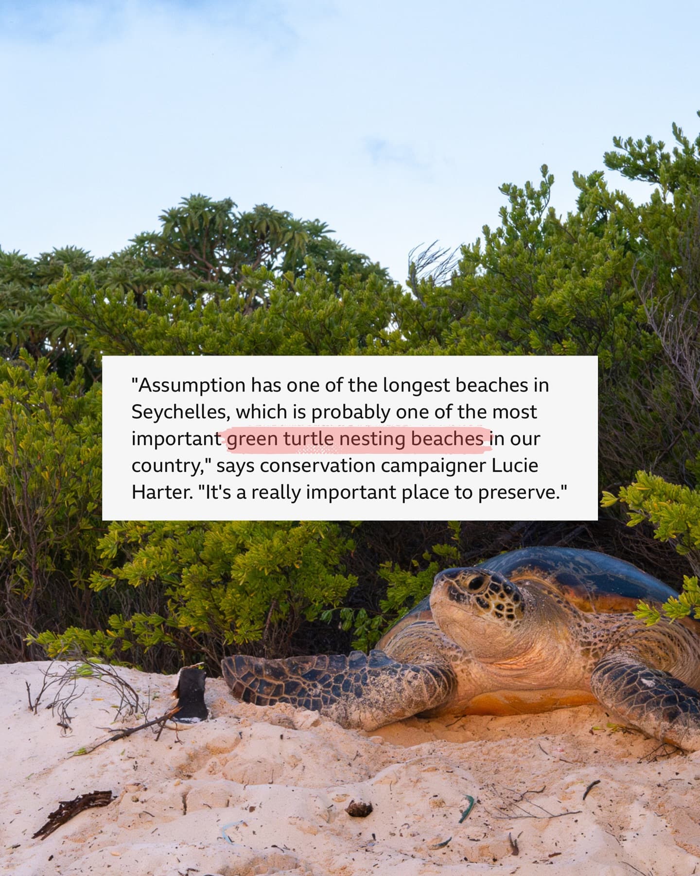 Thank you to Patrick Muirhead and for shining a light on the controversial development… (4/8)