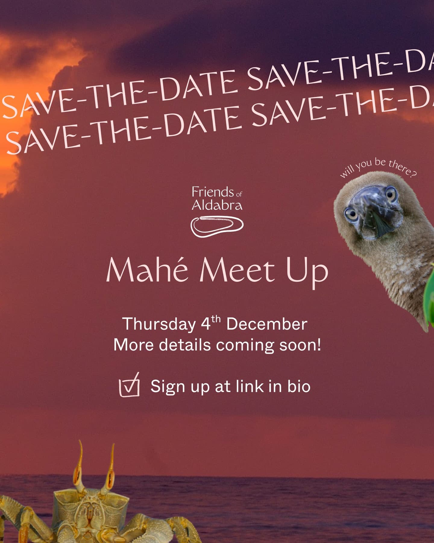 We’re planning an in-person Friends of Aldabra meet-up on Thursday 4th December (just…