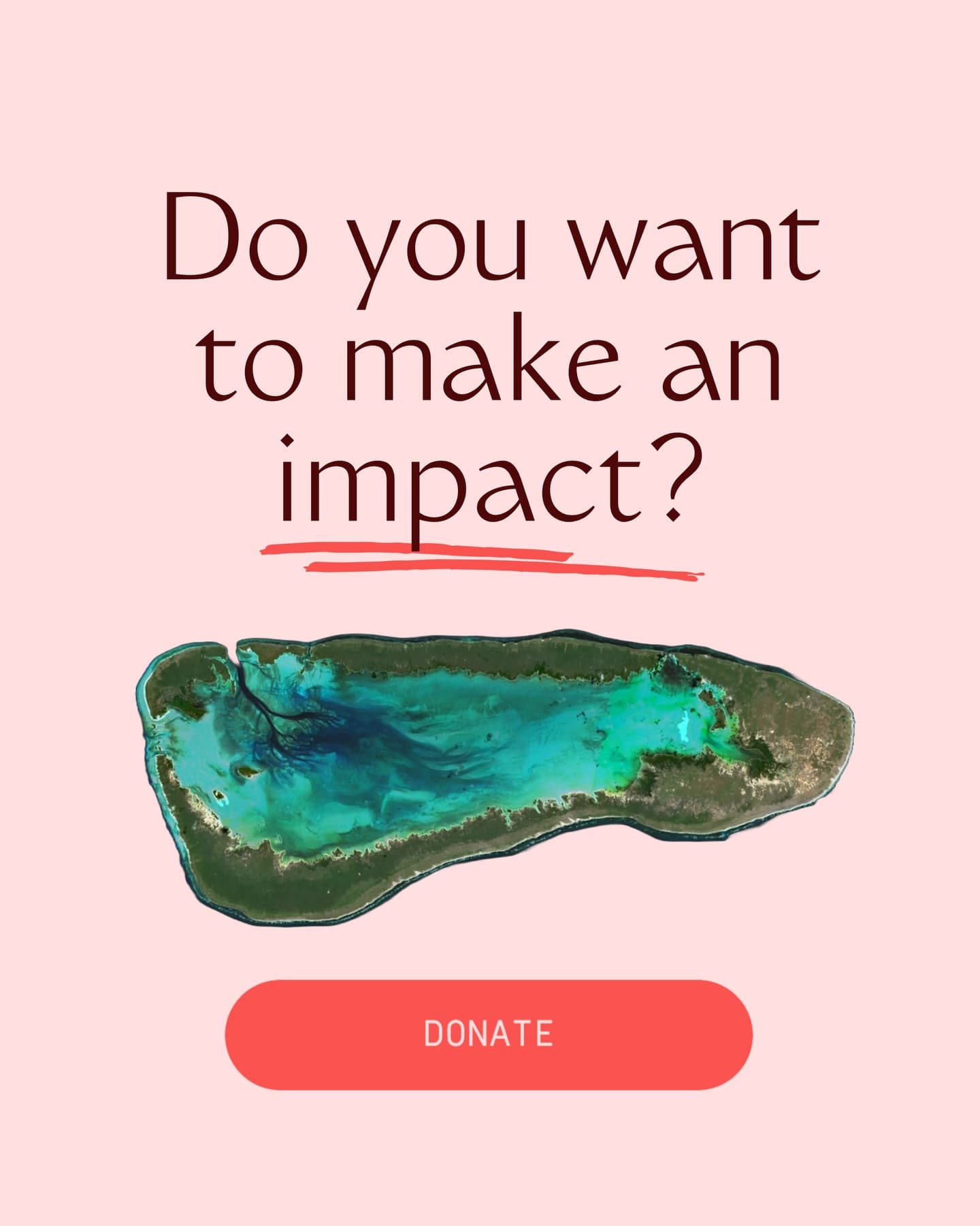 Friends of Aldabra is a not-for-profit campaign supported by donations. (1/4)