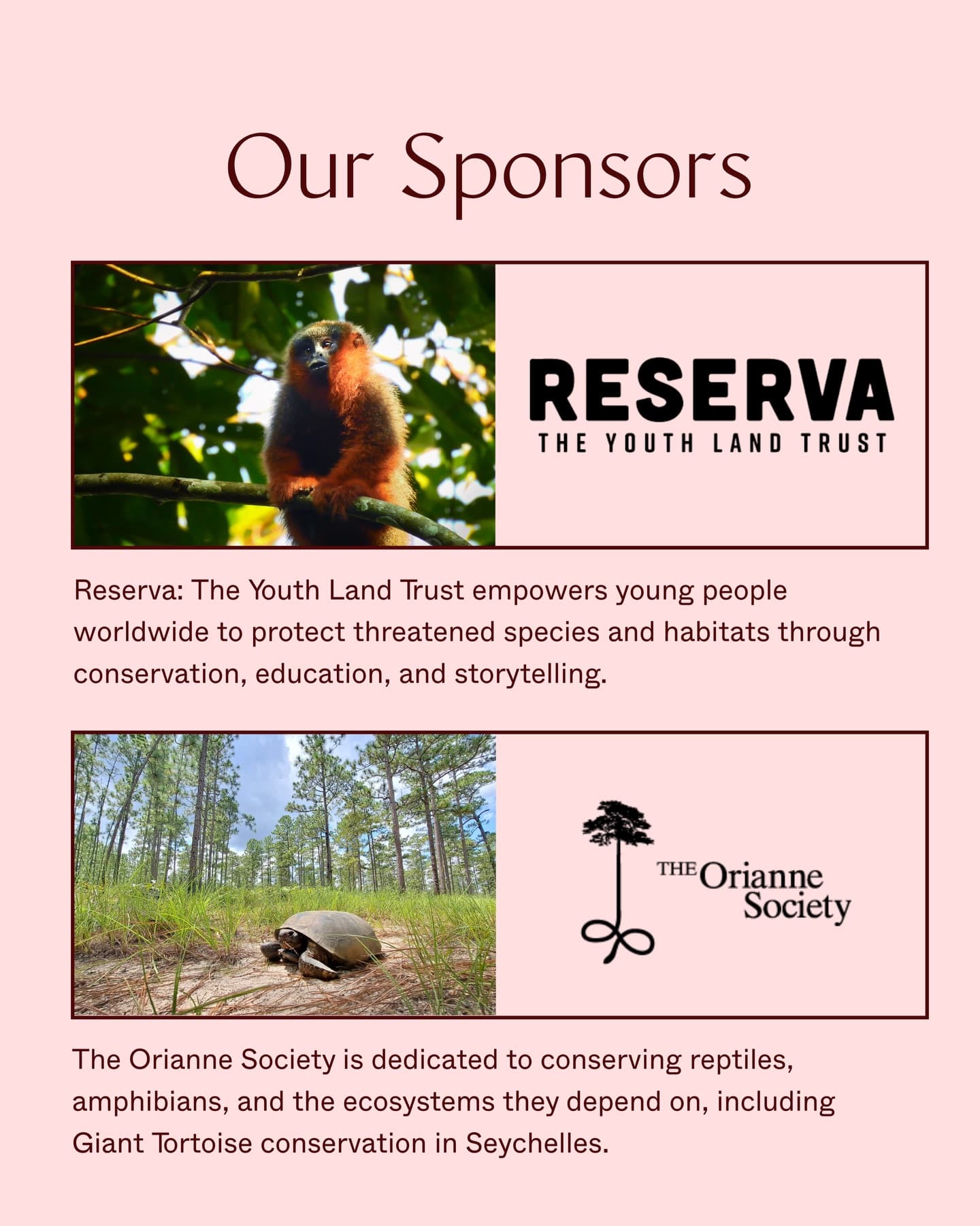 Friends of Aldabra is a not-for-profit campaign supported by donations. (3/4)