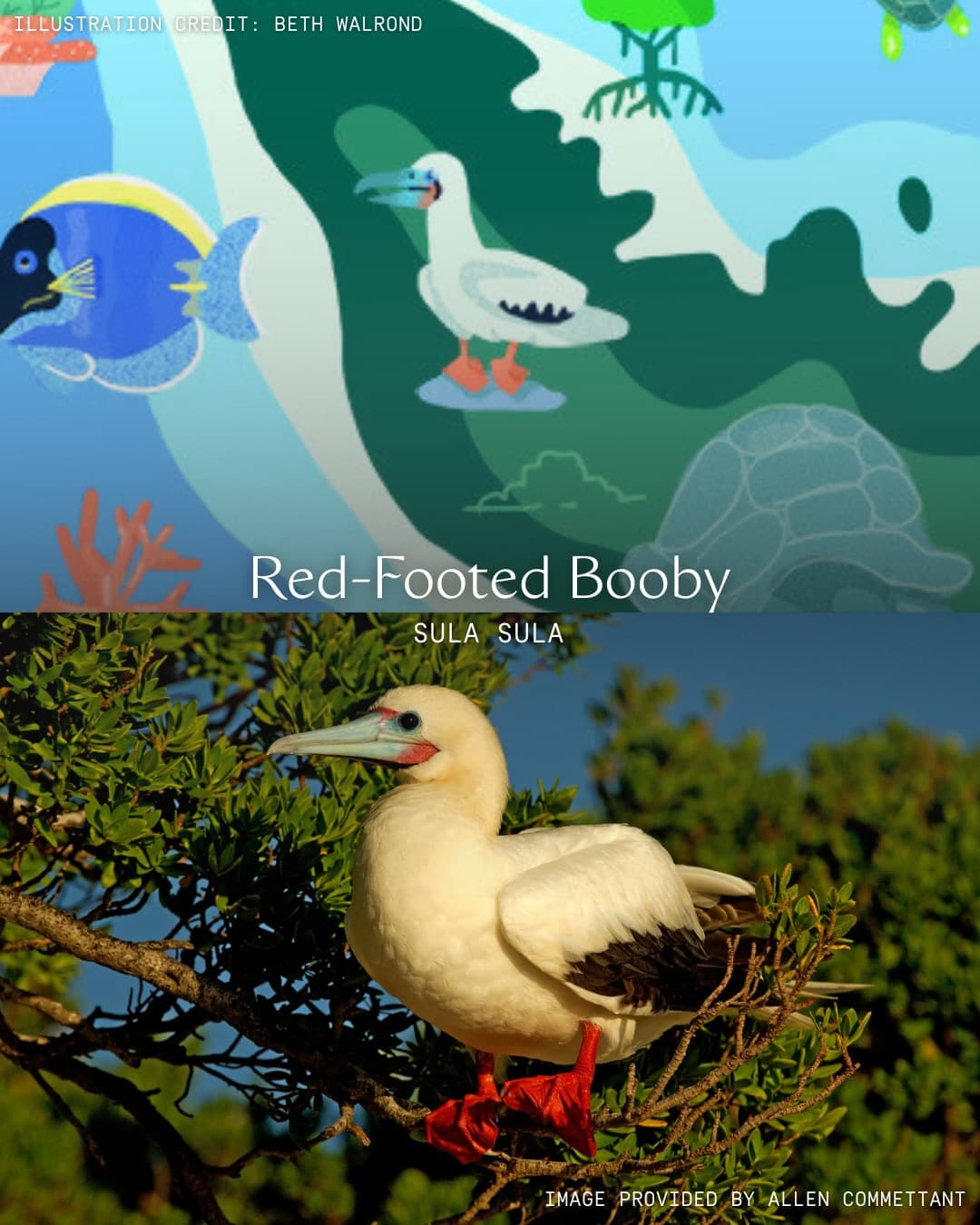 Art has the power to translate urgent conservation messages into digestible visual… (3/8)