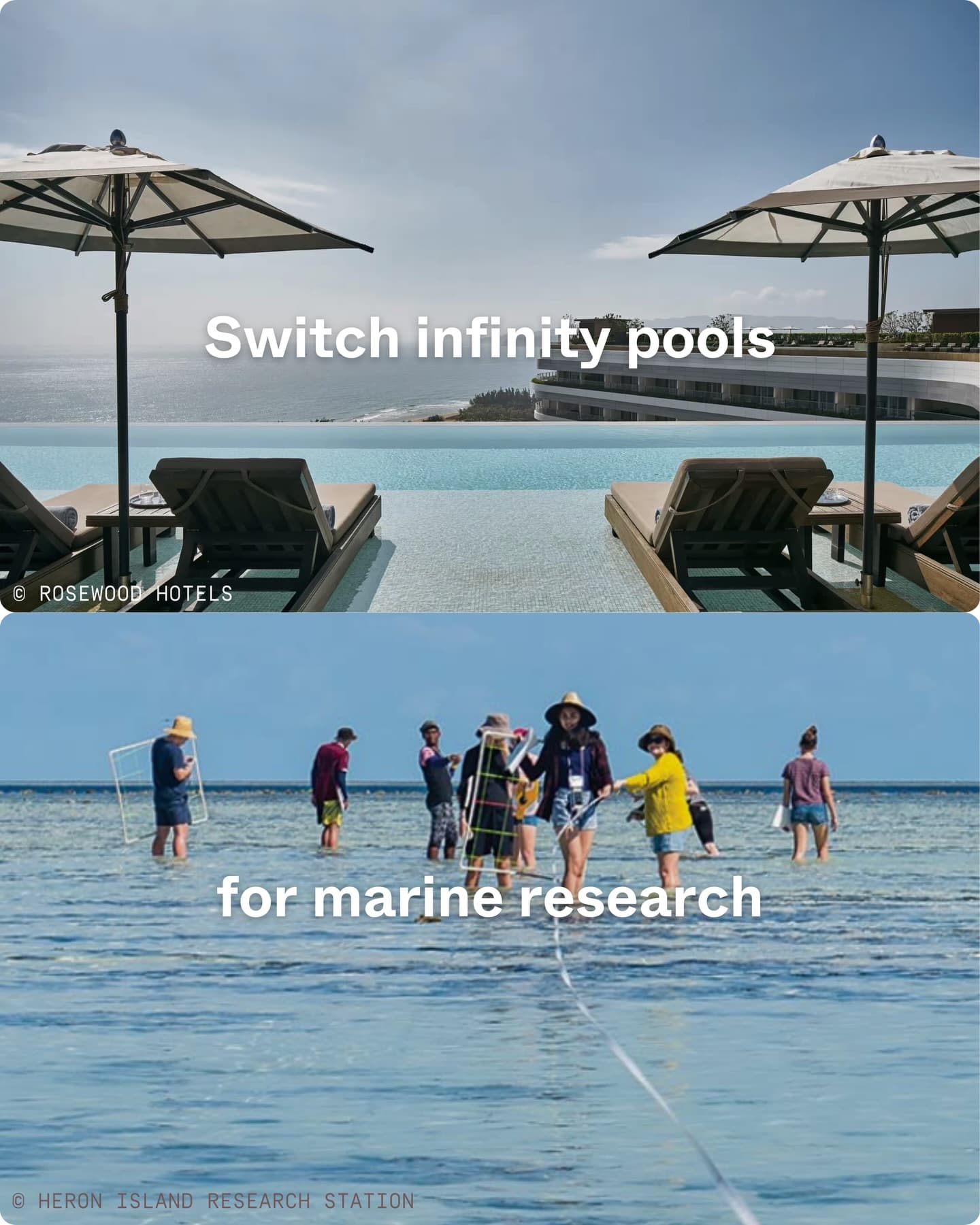 Exclusive private luxury vs Seychellois Scientific exploration. (4/11)