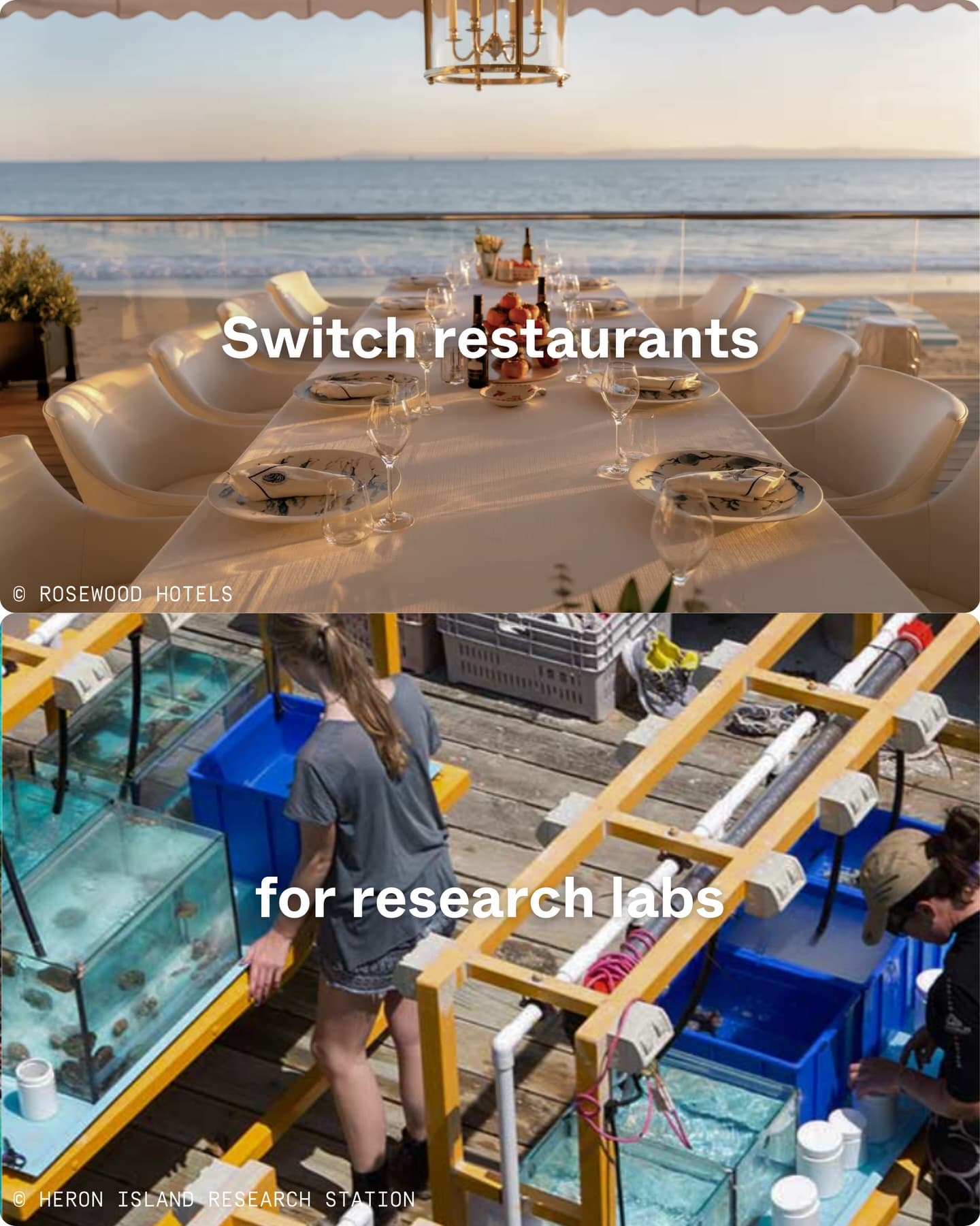 Exclusive private luxury vs Seychellois Scientific exploration. (6/11)