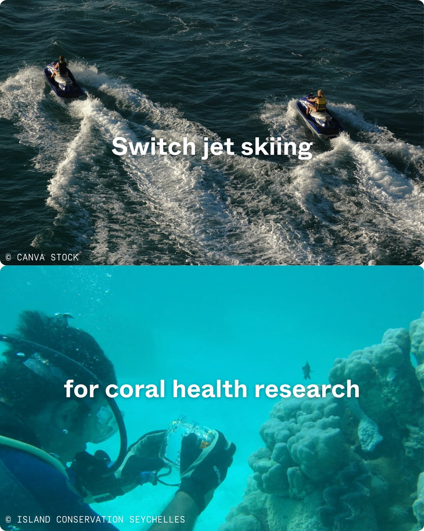 Exclusive private luxury vs Seychellois Scientific exploration. (7/11)