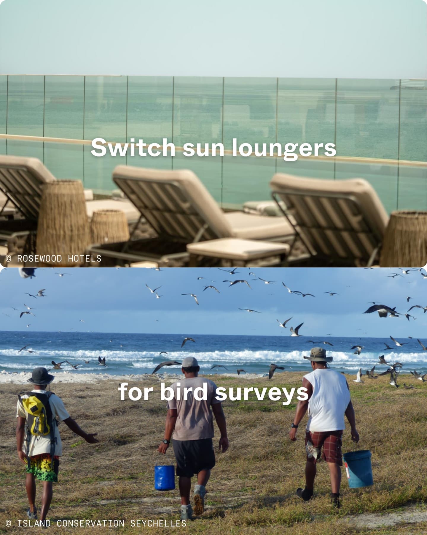 Exclusive private luxury vs Seychellois Scientific exploration. (9/11)