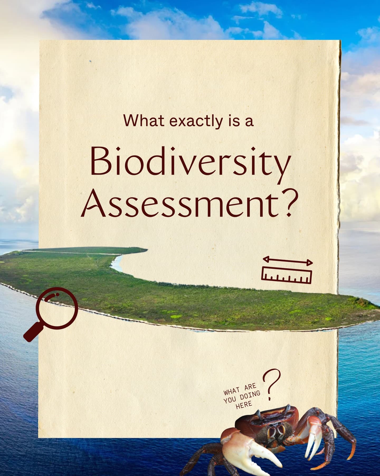 A biodiversity assessment is a health check-up for nature It helps us understand… (1/9)