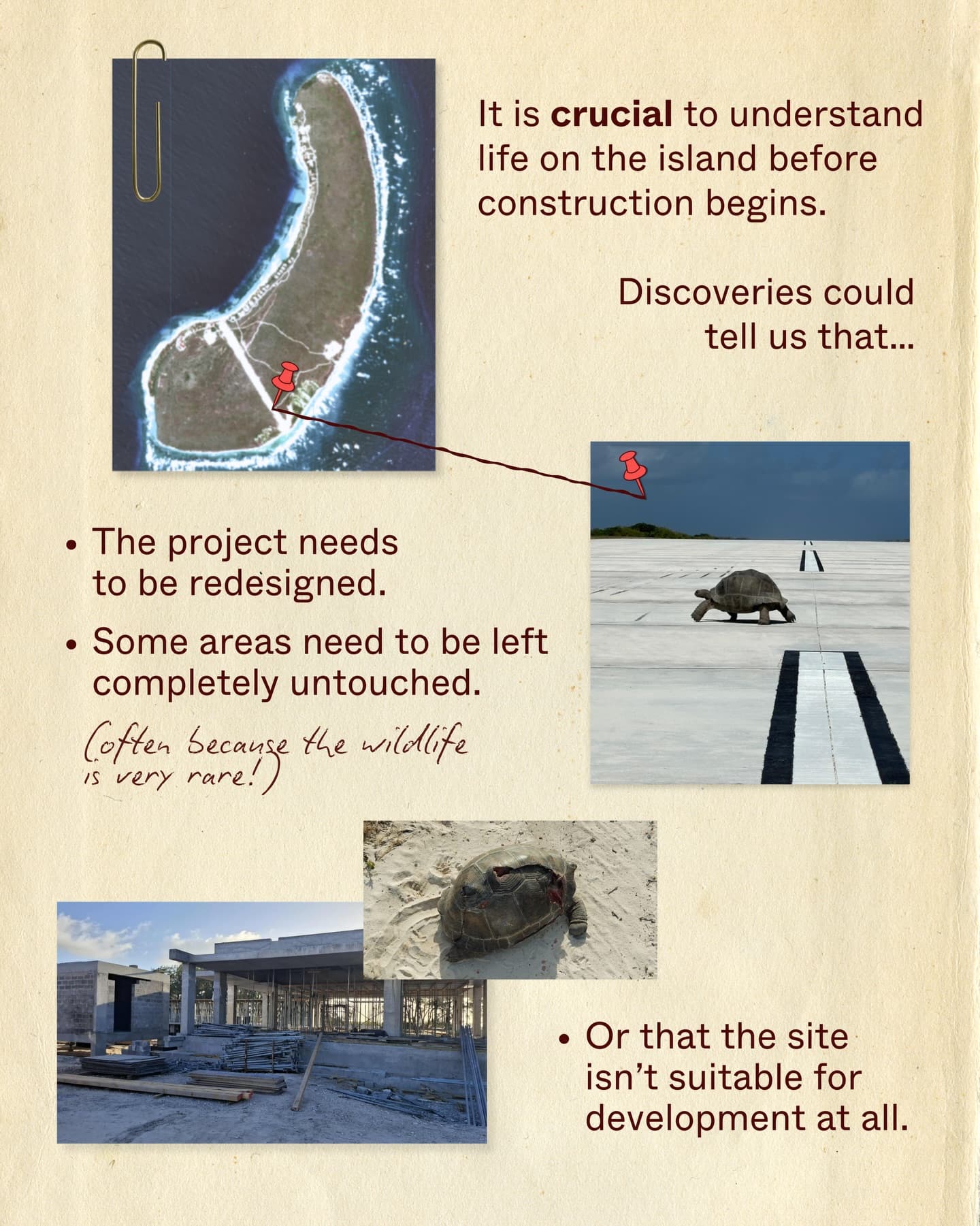 A biodiversity assessment is a health check-up for nature It helps us understand… (4/9)