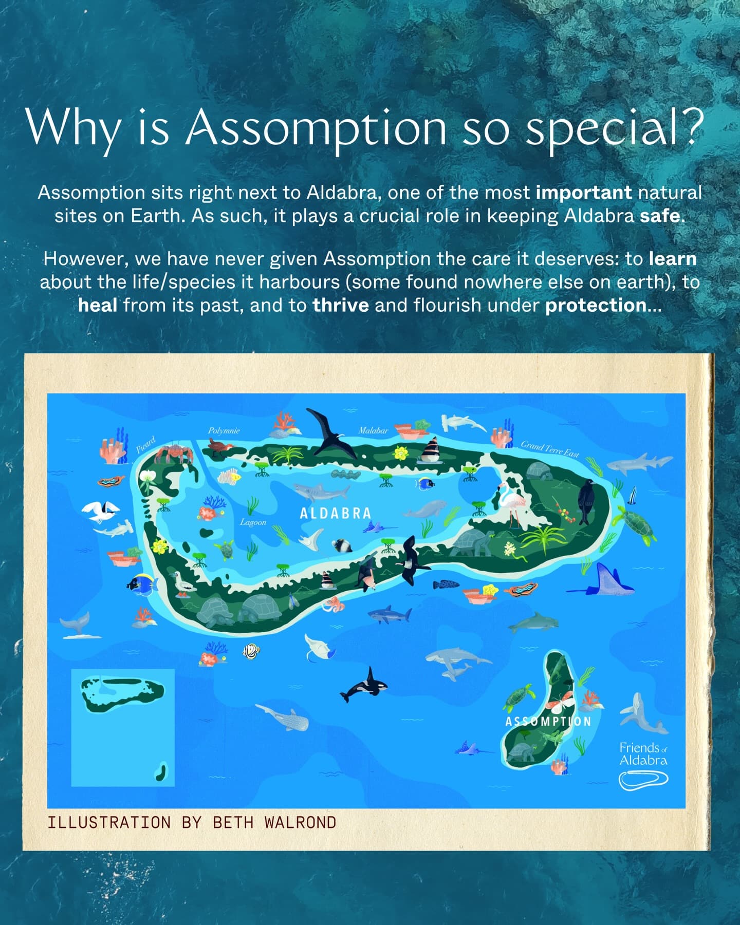 A biodiversity assessment is a health check-up for nature It helps us understand… (5/9)