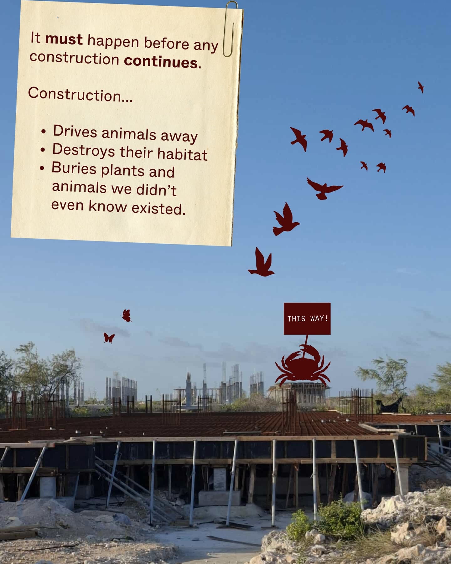 A biodiversity assessment is a health check-up for nature It helps us understand… (6/9)