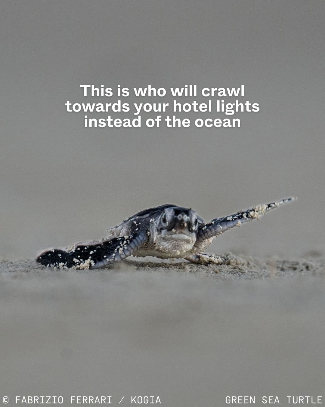 Nature isn’t just a backdrop for tourism development. (3/12)