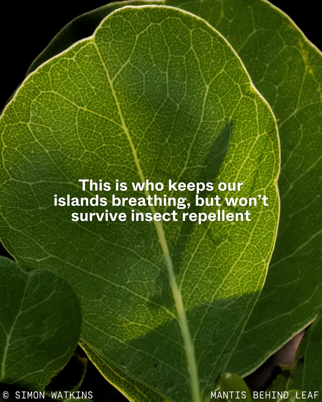Nature isn’t just a backdrop for tourism development. (9/12)