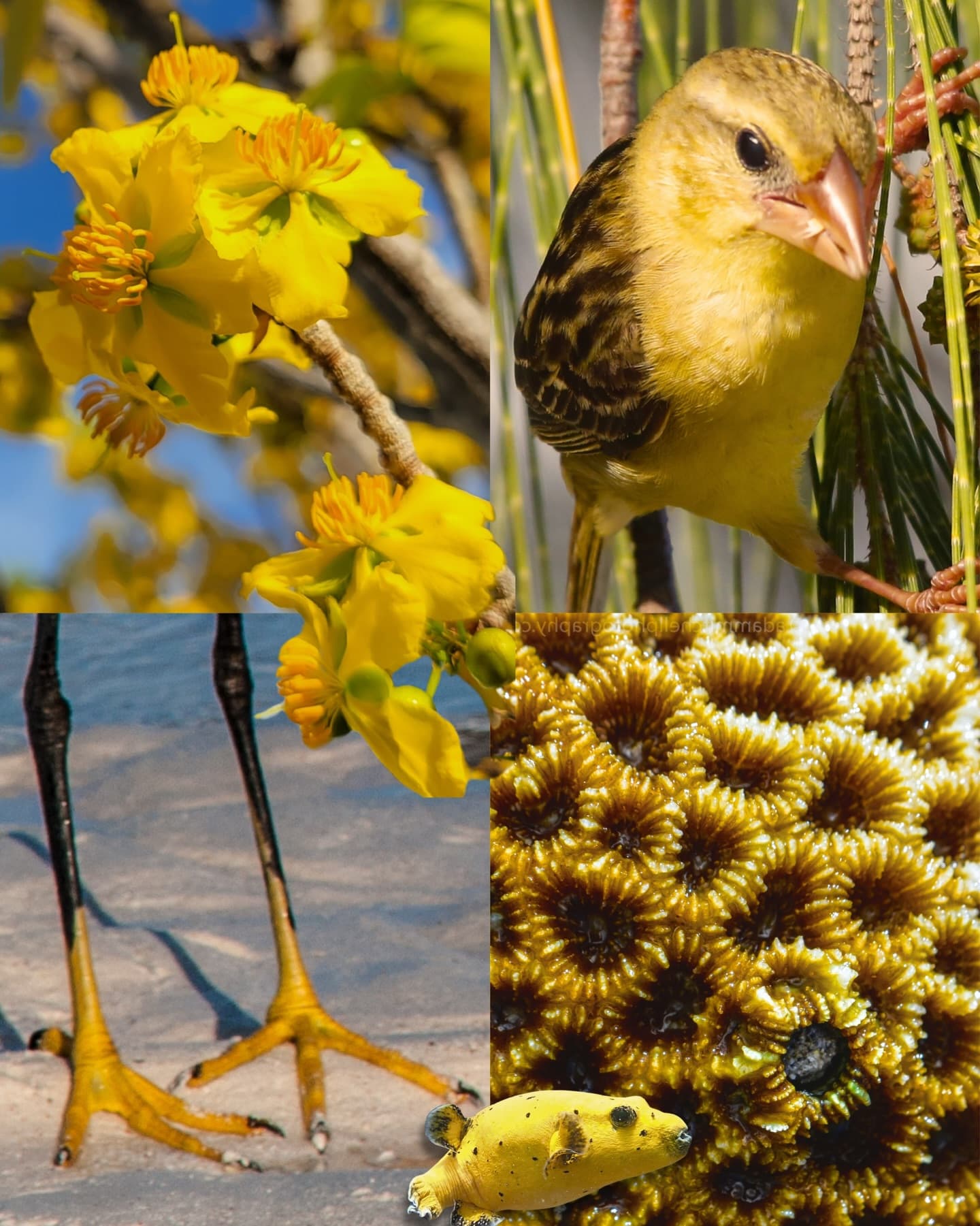 POV: you just discovered the most biodiverse place on earth. (3/6)