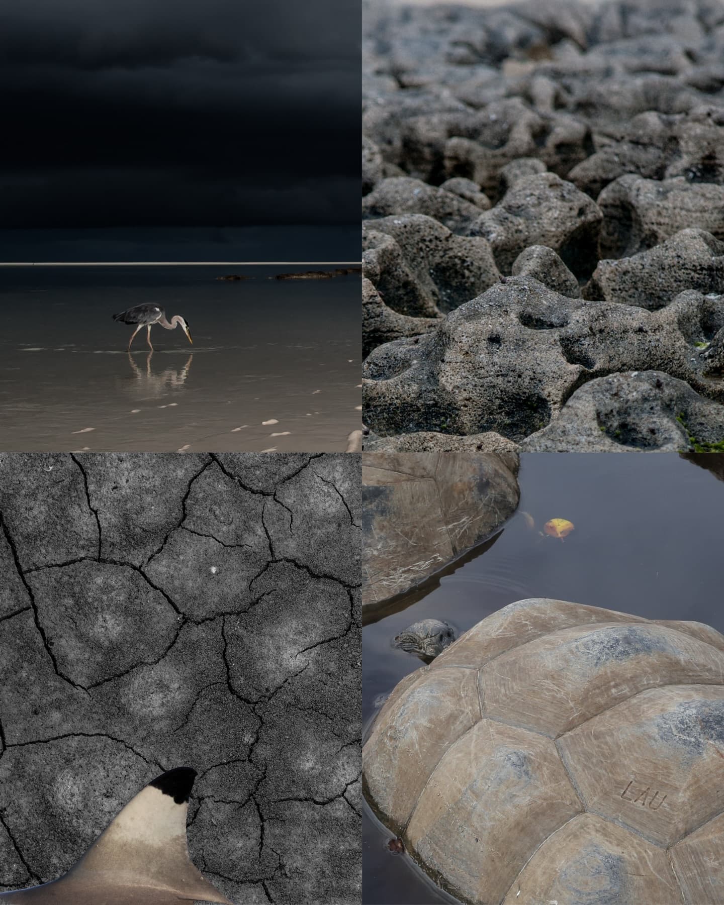 POV: you just discovered the most biodiverse place on earth. (6/6)